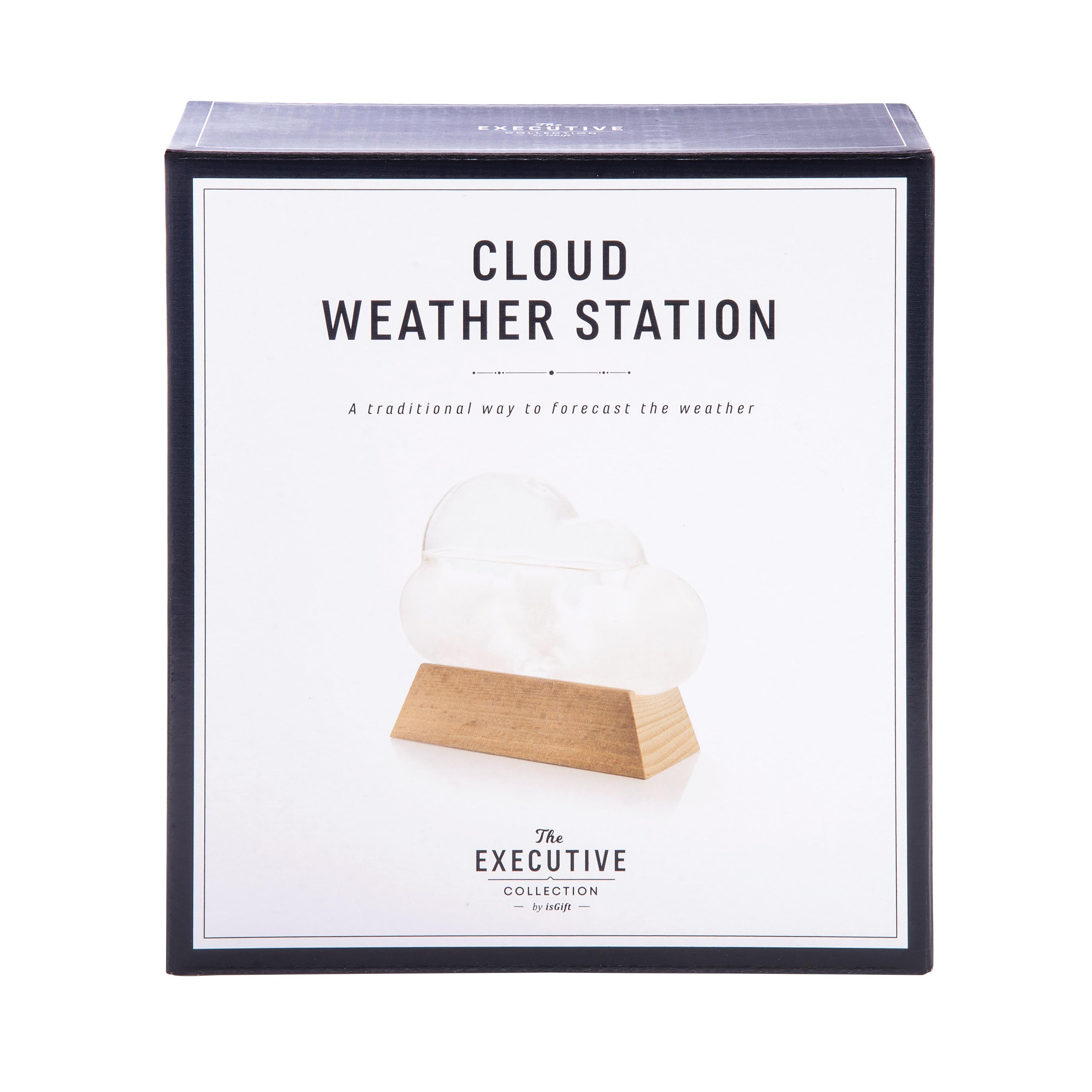 The Executive Collection Cloud Weather Station Clear