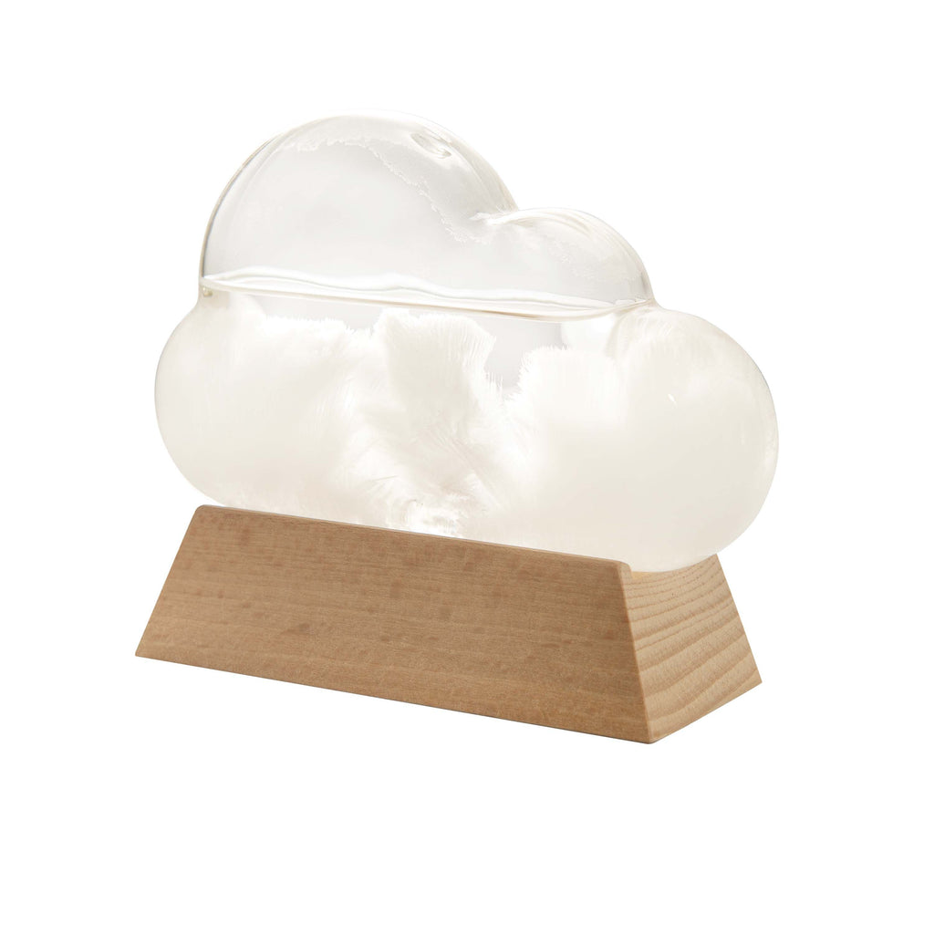 The Executive Collection Cloud Weather Station Clear