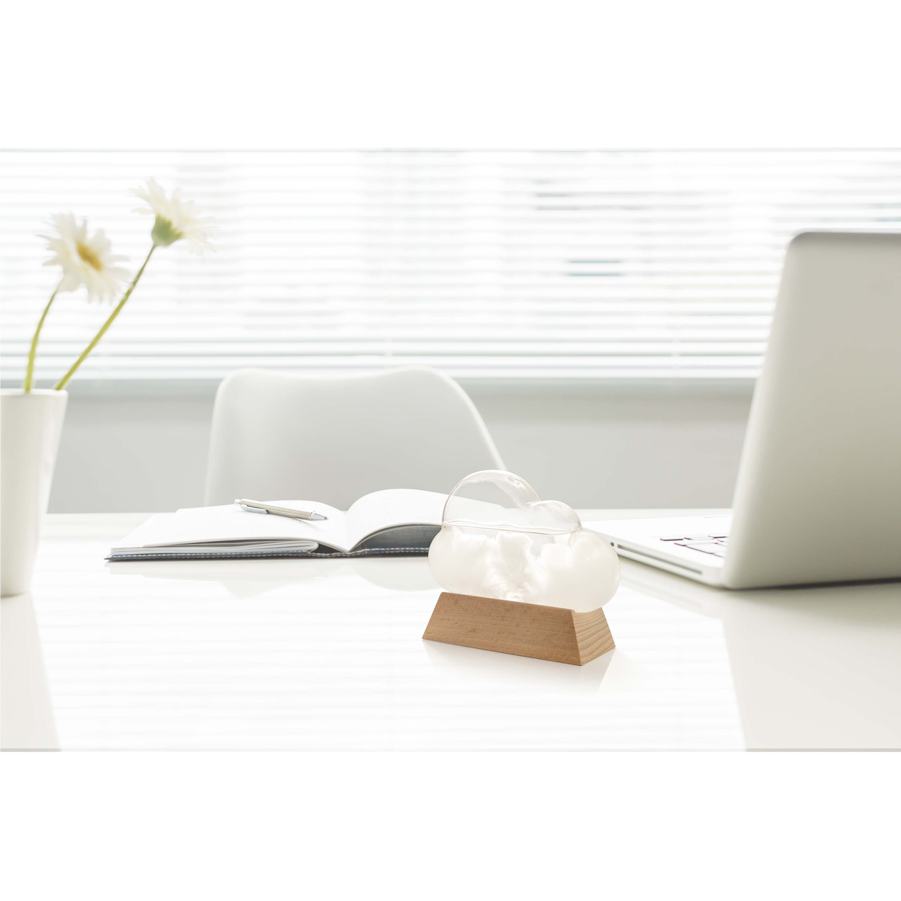 The Executive Collection Cloud Weather Station Clear