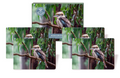 Heritage Kookaburra Coaters Set of 4