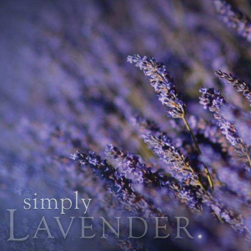 Lavender Soy Jar Candle