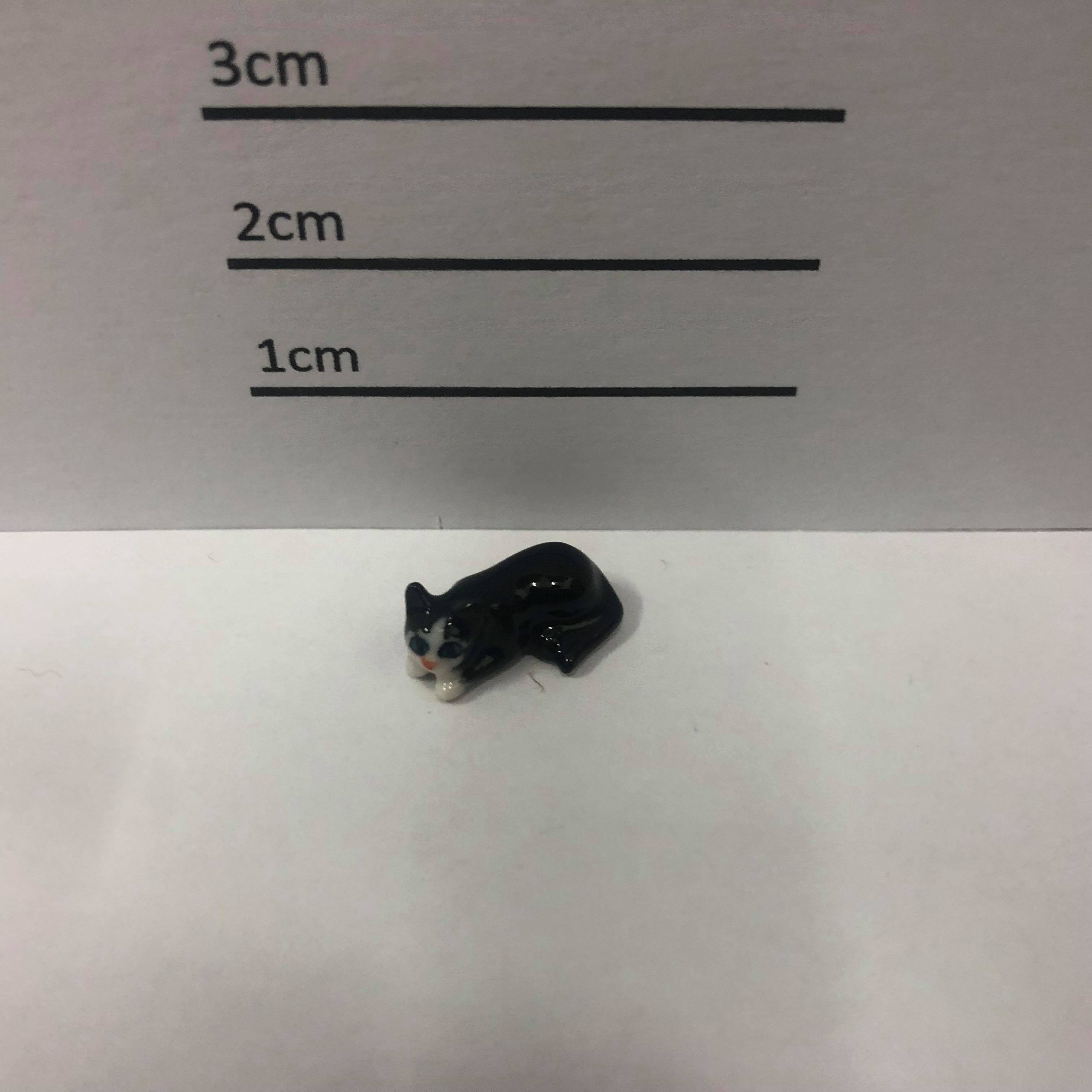 Mini Cat