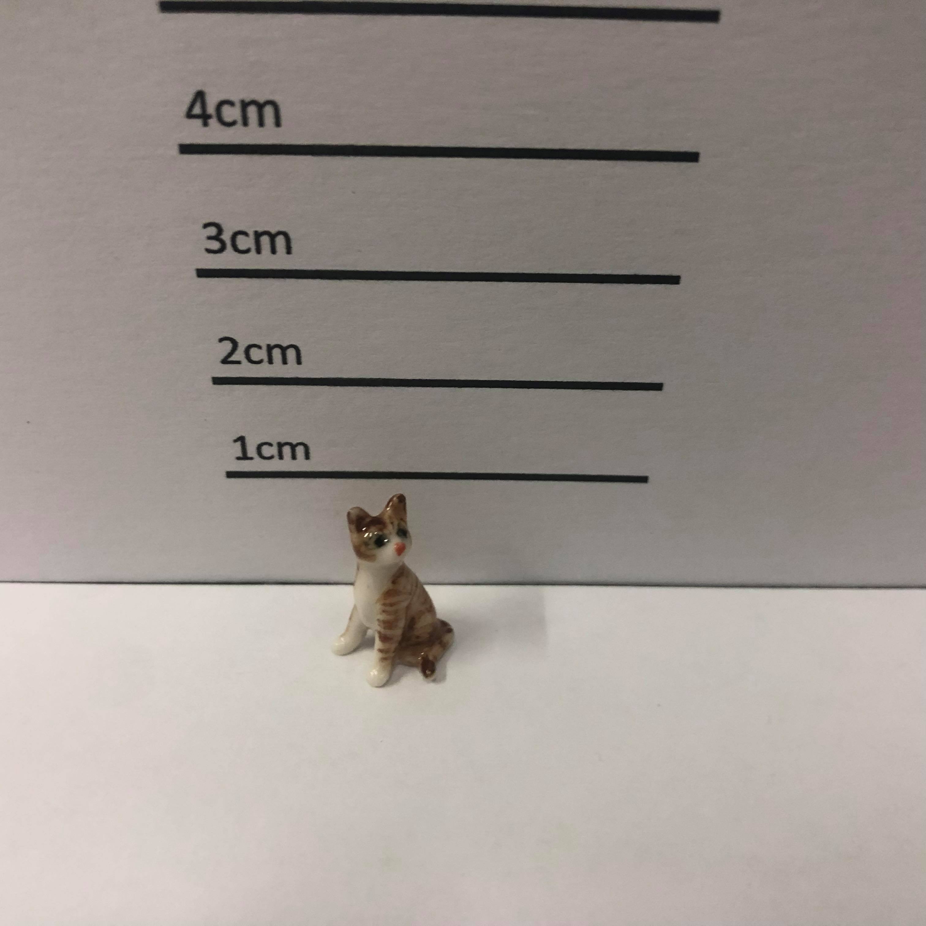 Mini Cat