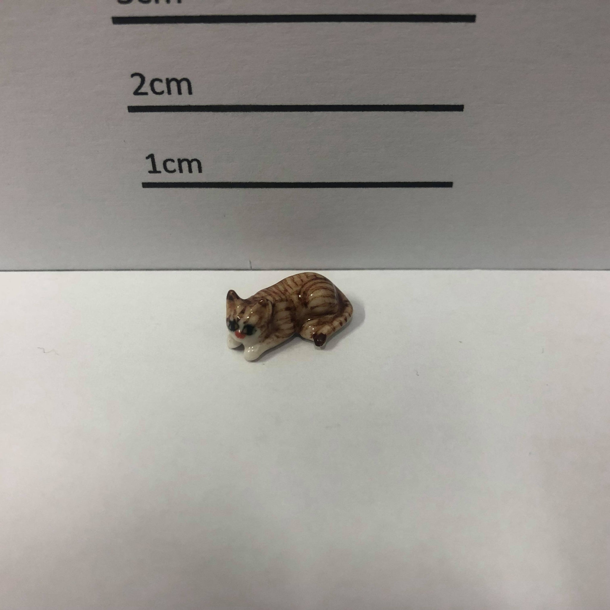Mini Cat