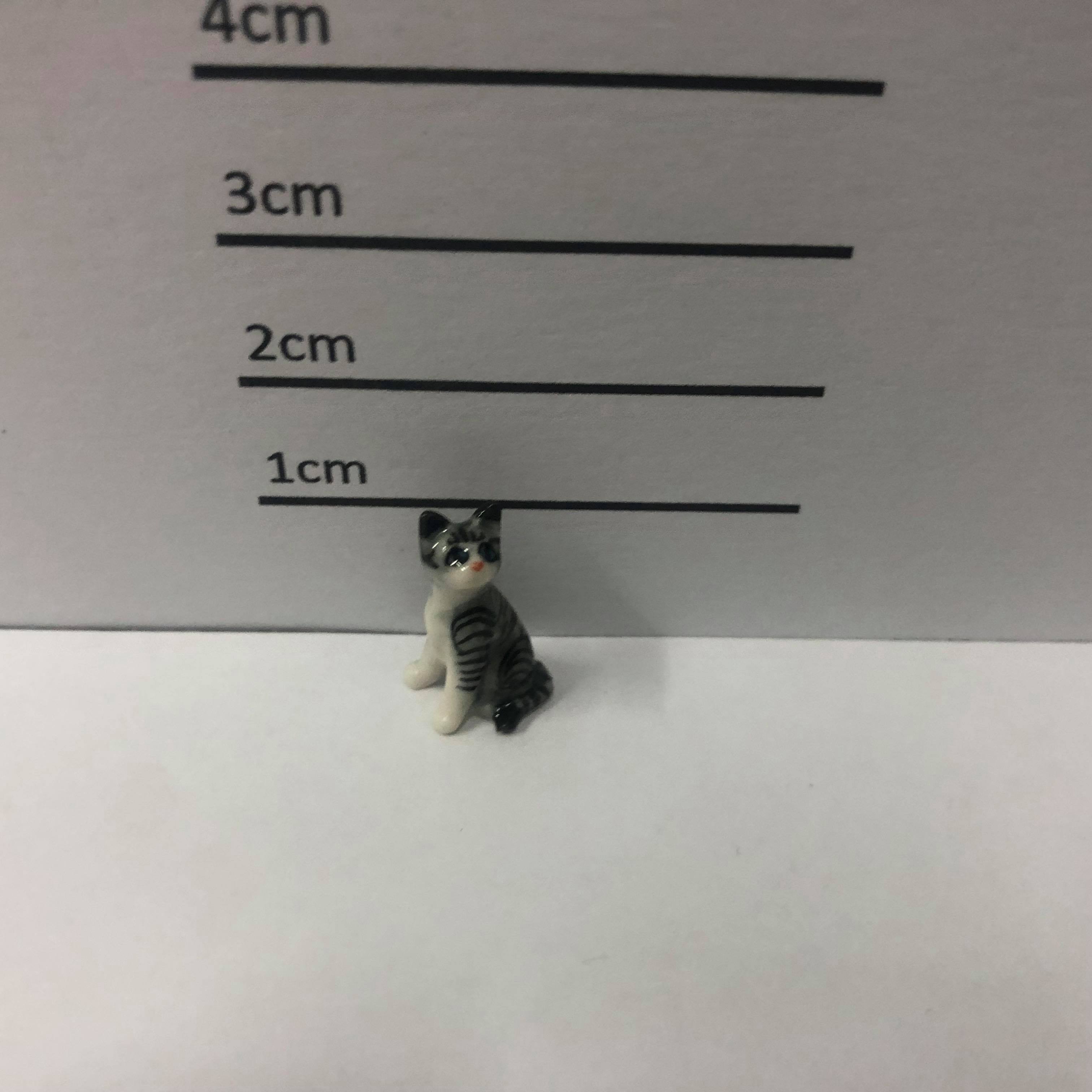 Mini Cat