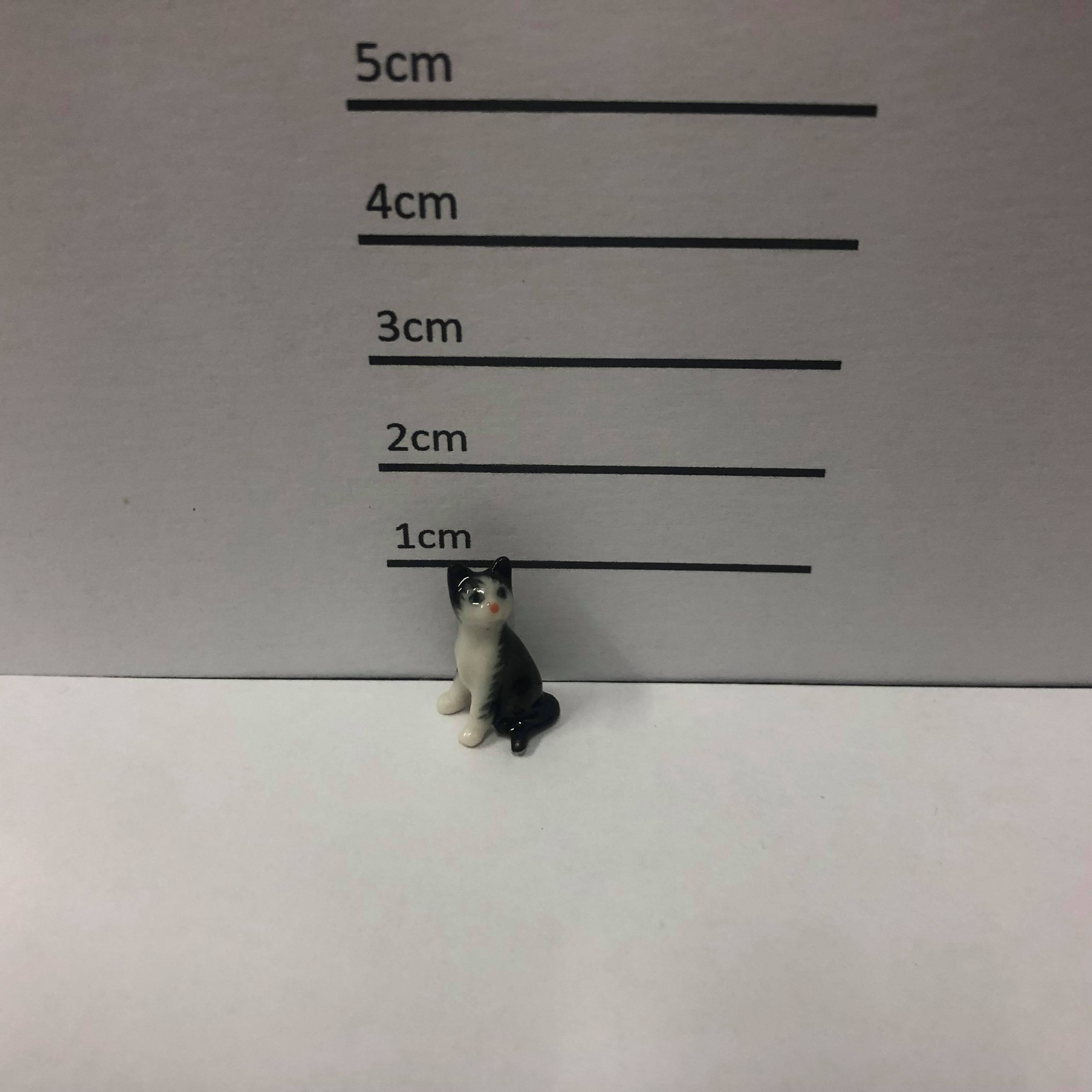 Mini Cat