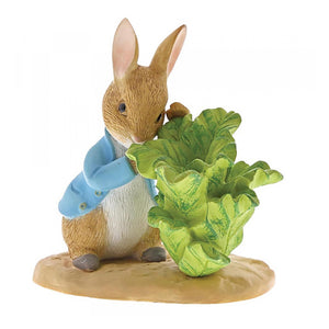 Peter Rabbit with Lettuce
