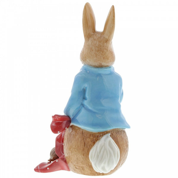 Peter Rabbit And The Pocket Handkerchief Large