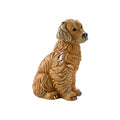 De Rosa - Golden Retriever