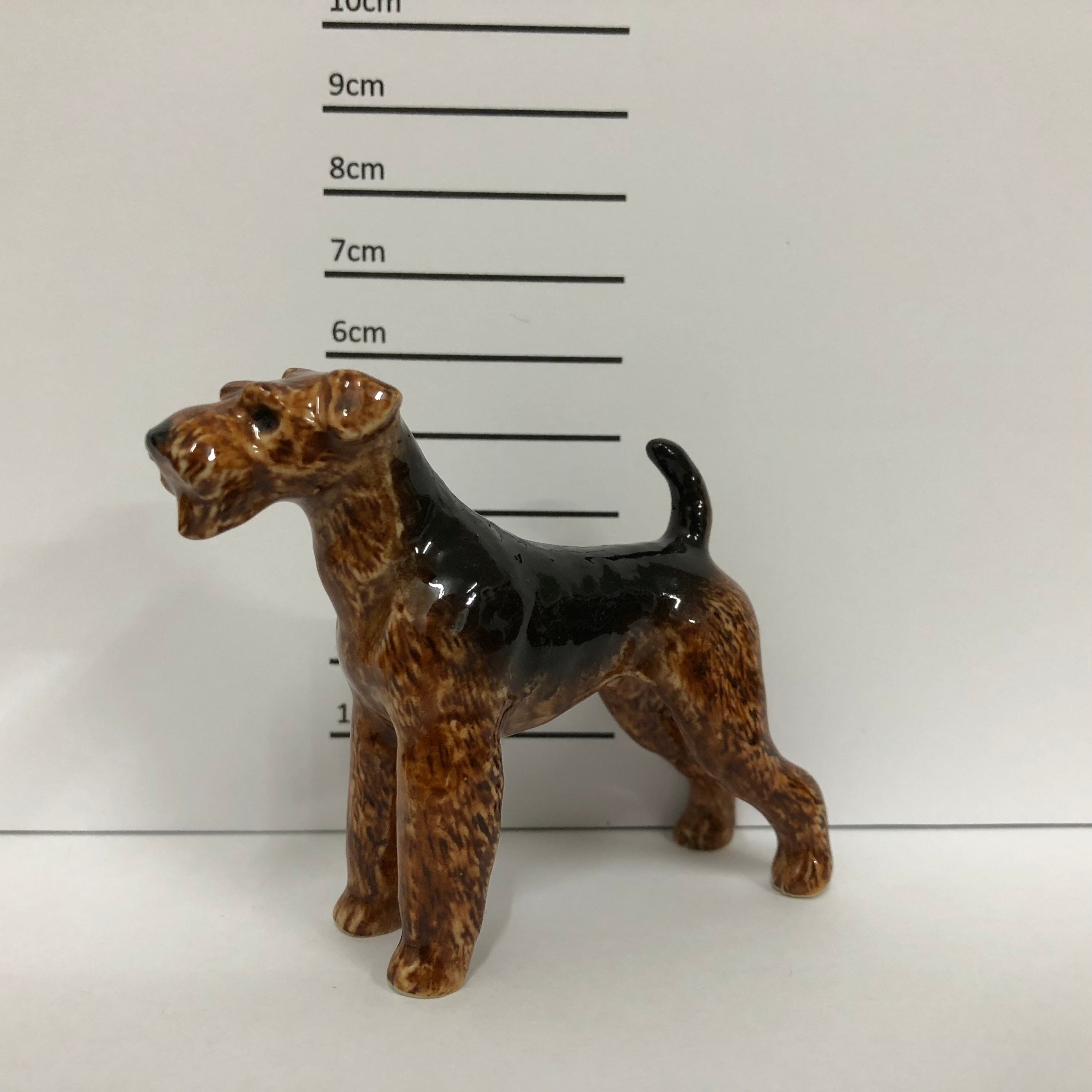 Schnauzer