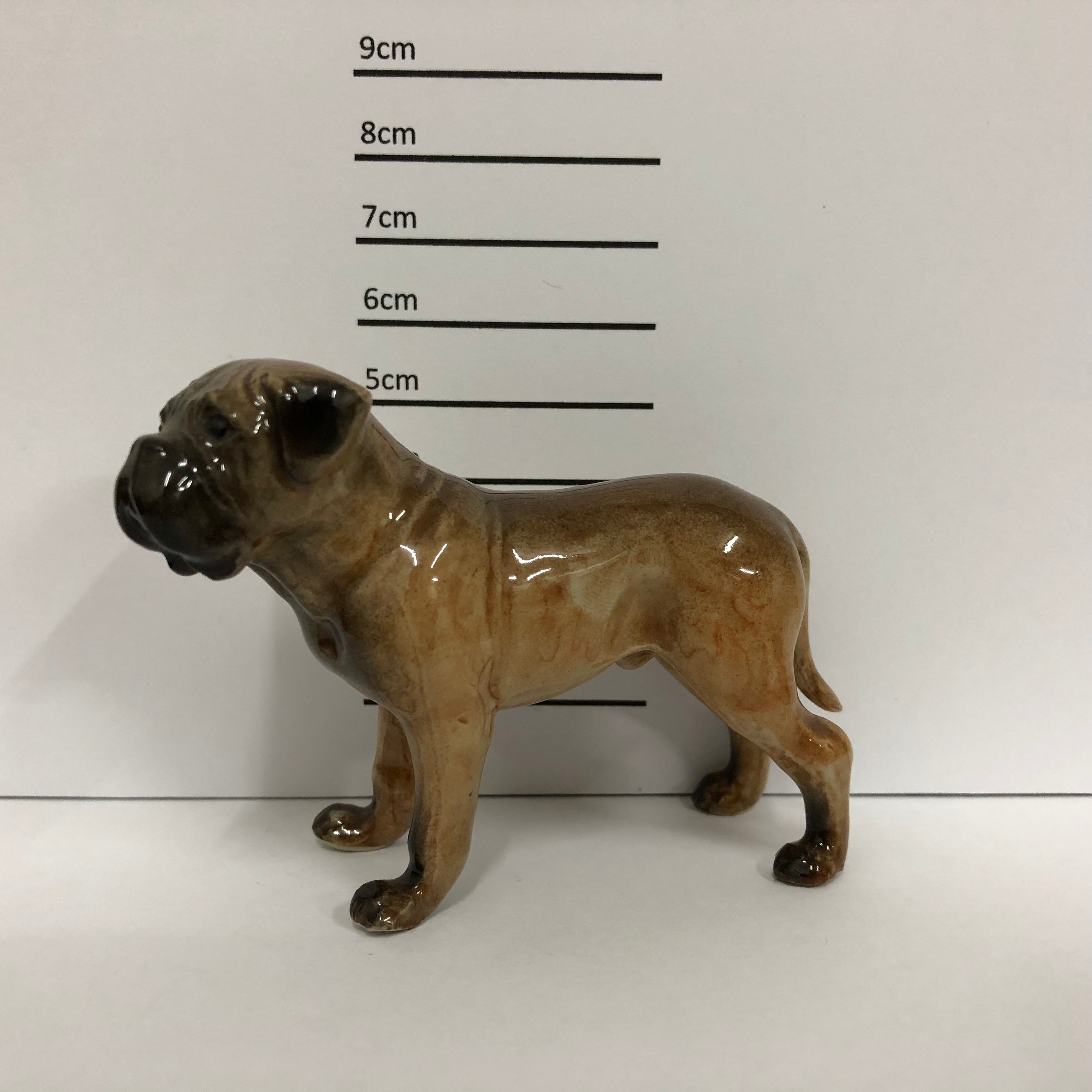 Mastiff