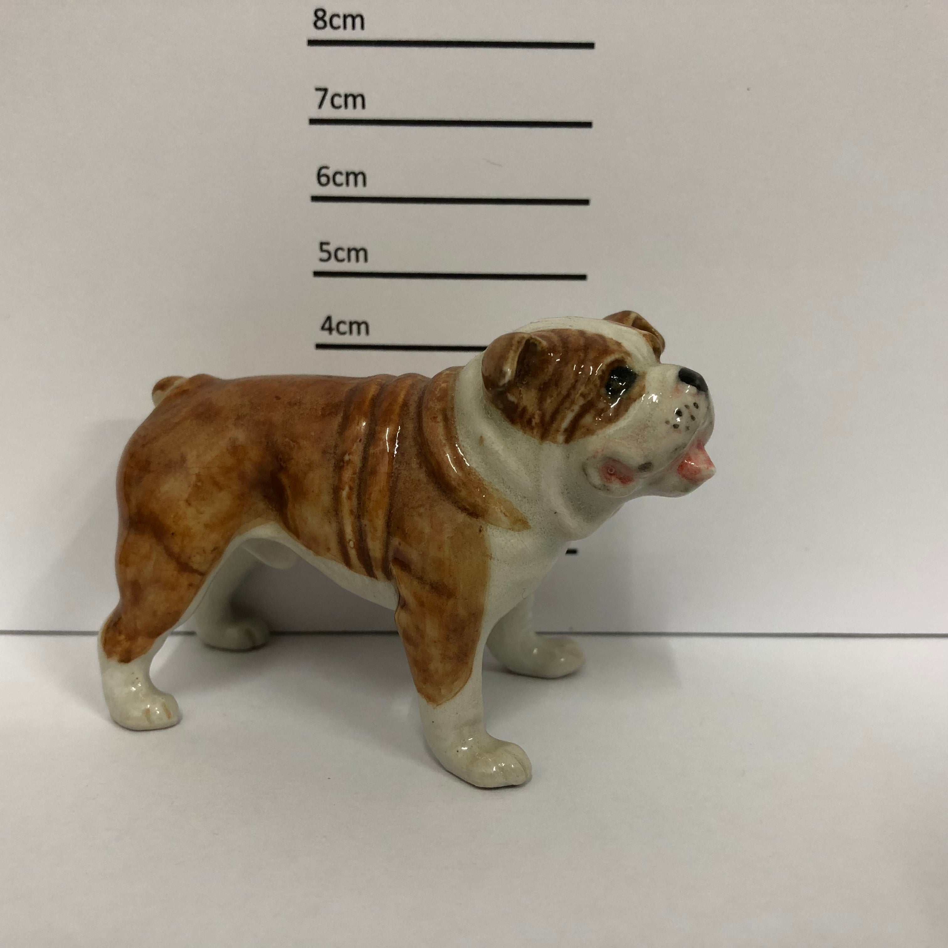 Bulldog