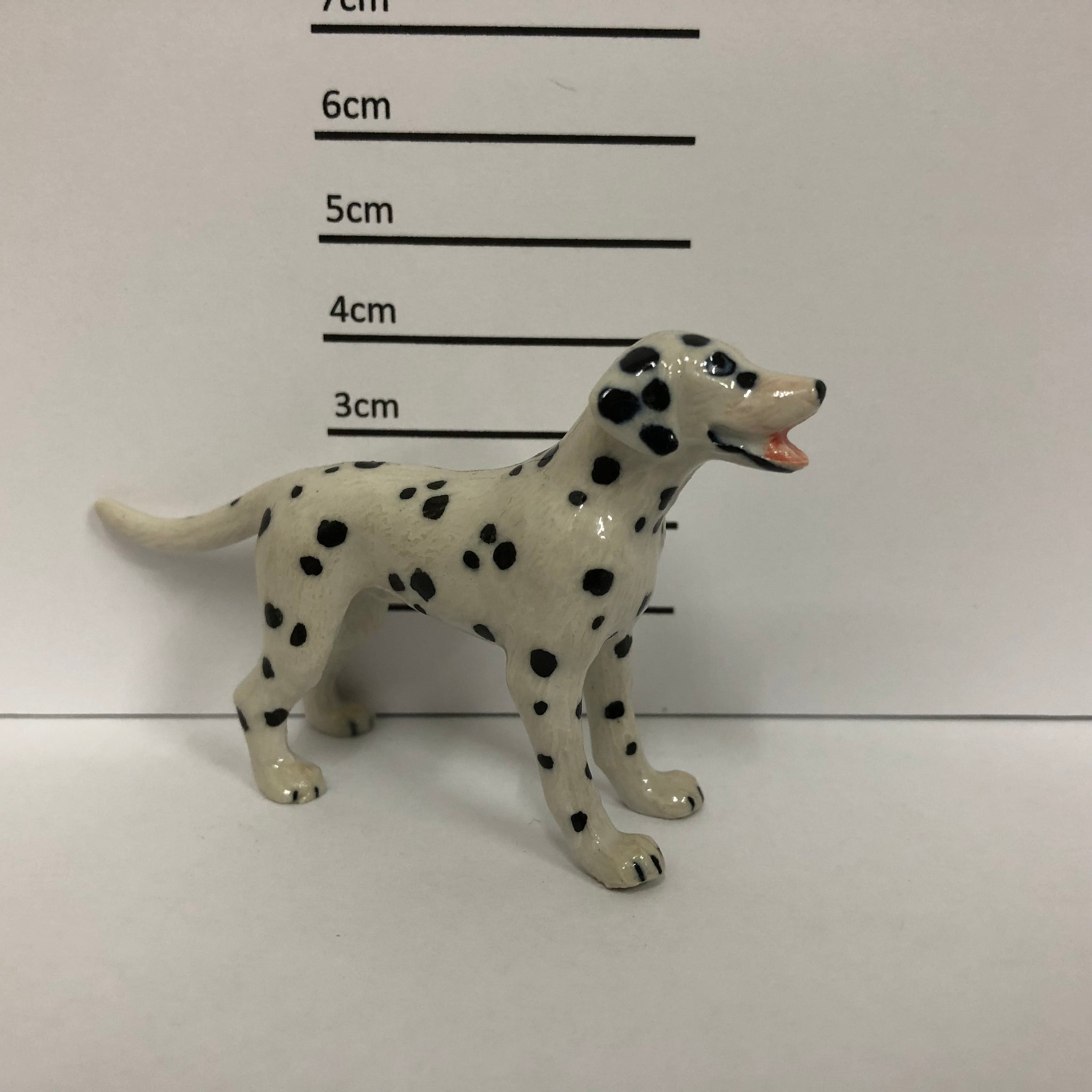 Dalmatian