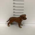 Staffordshire Bull Terrier