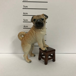 Pug on Chair