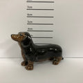 Dachshund