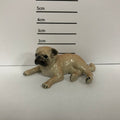 Pug Lying
