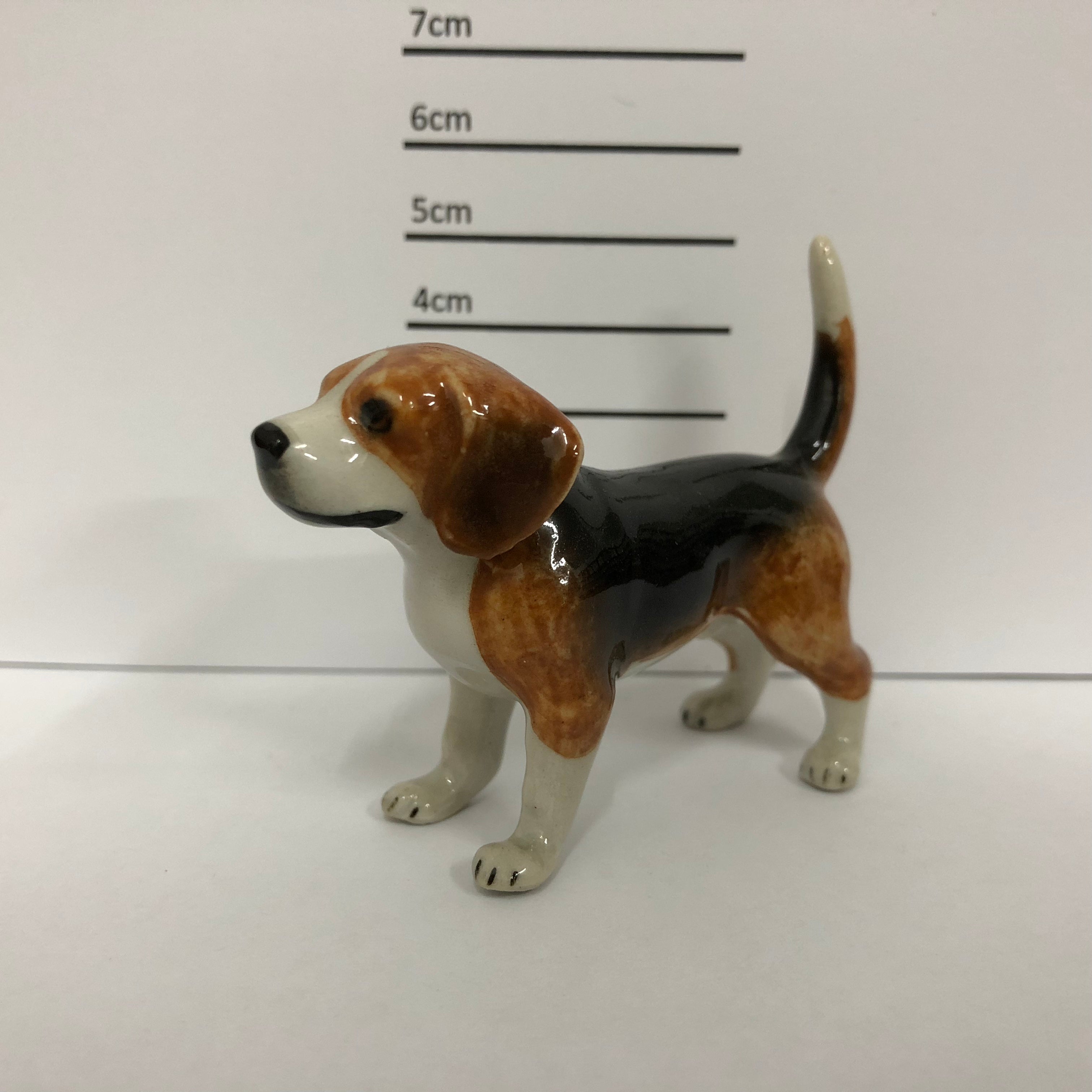 Beagle