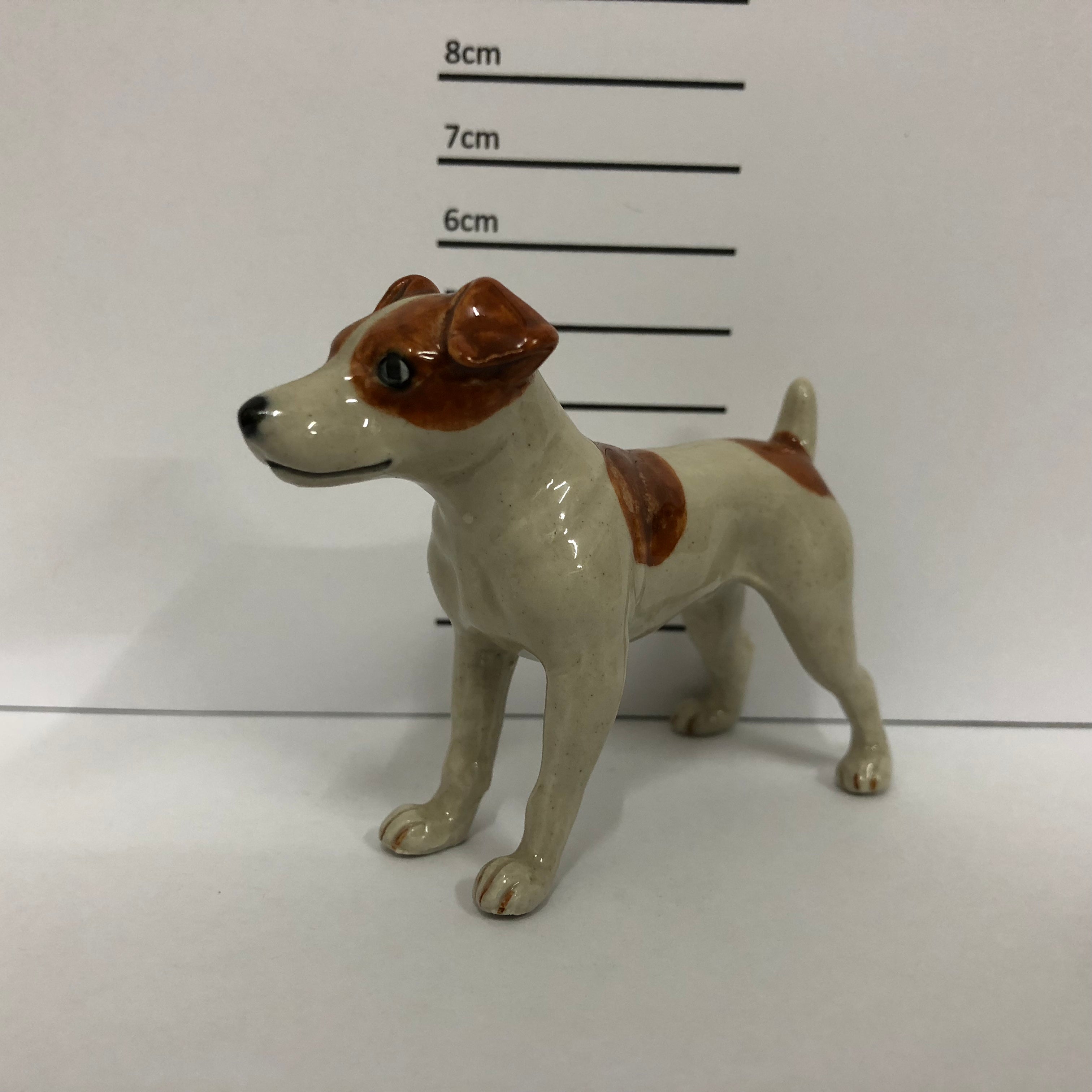 Jack Russel (tan)