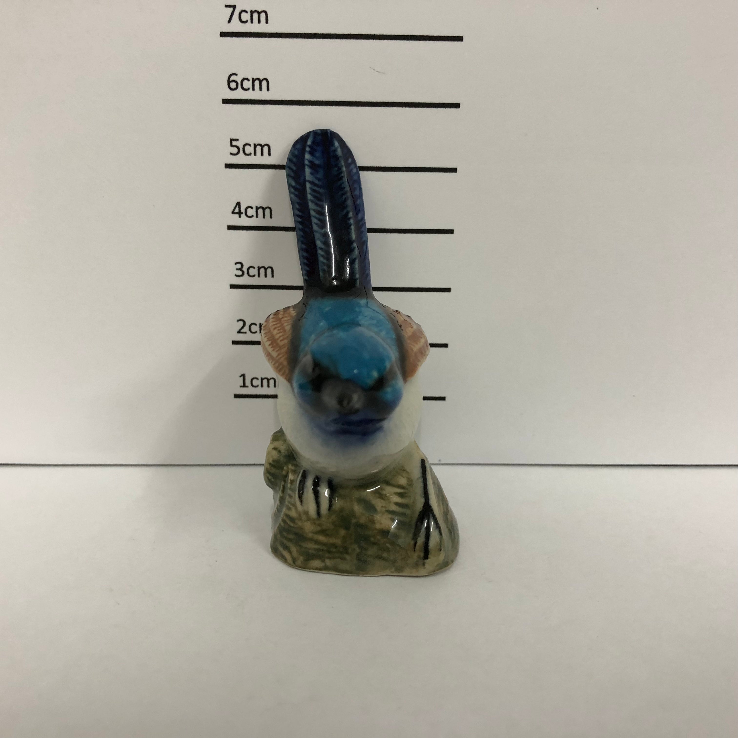 Blue Wren