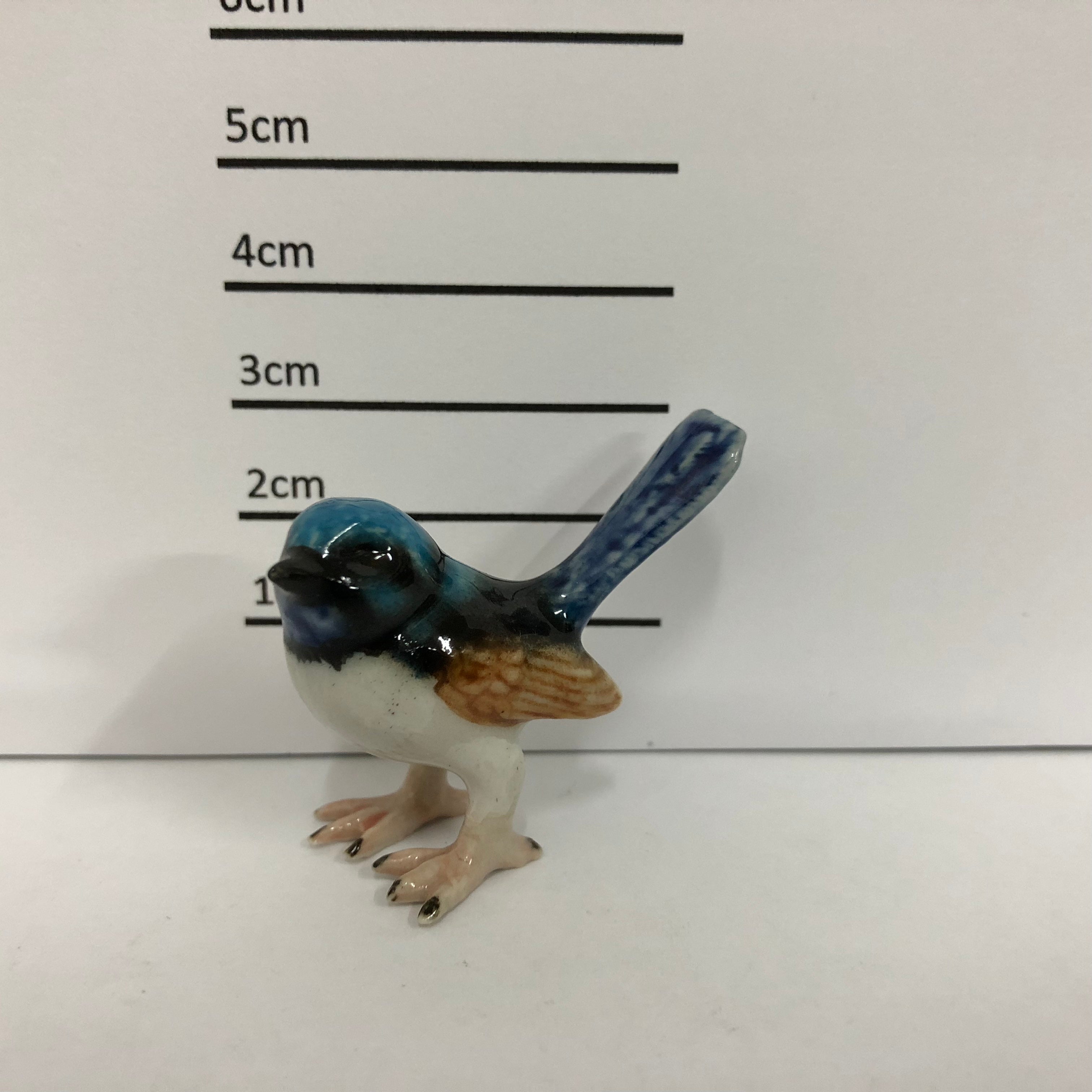Blue Wren
