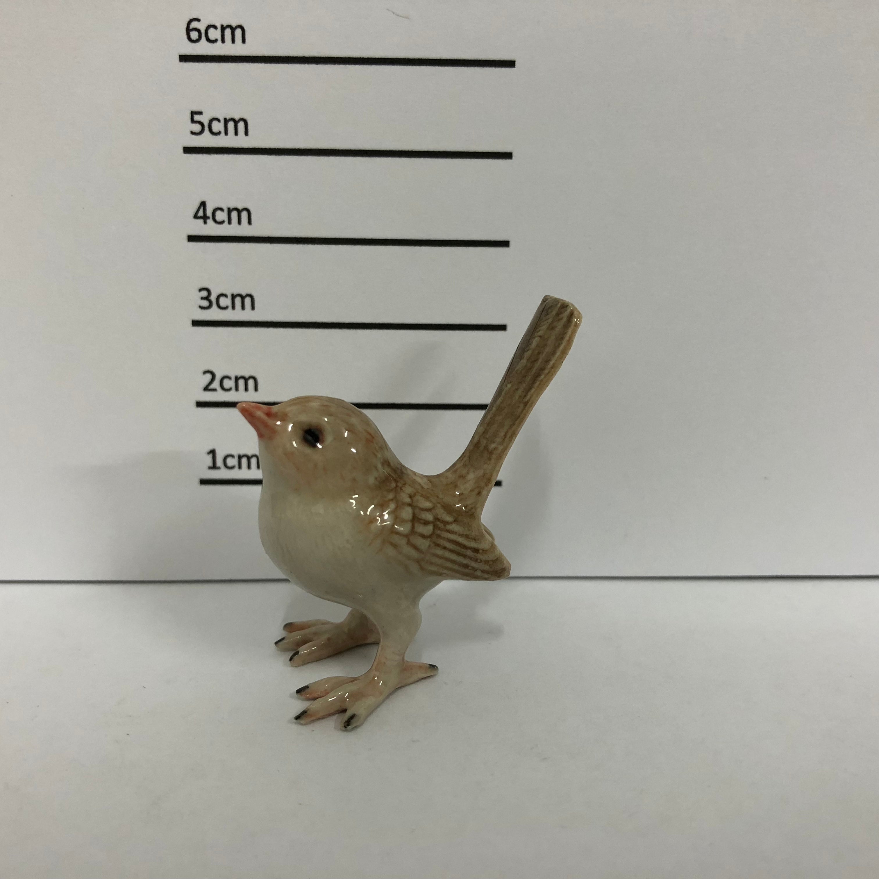 Wren