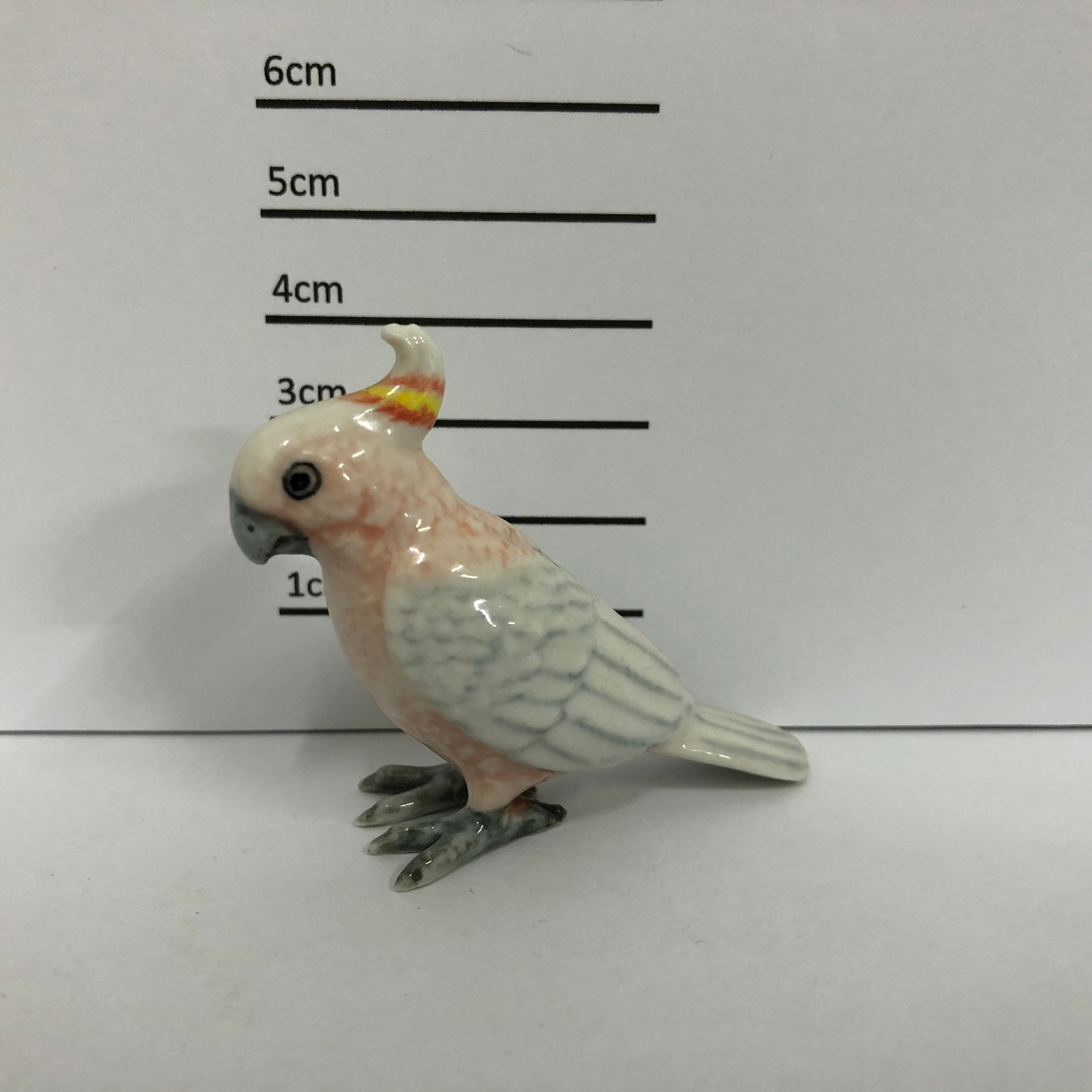 Cockatoo