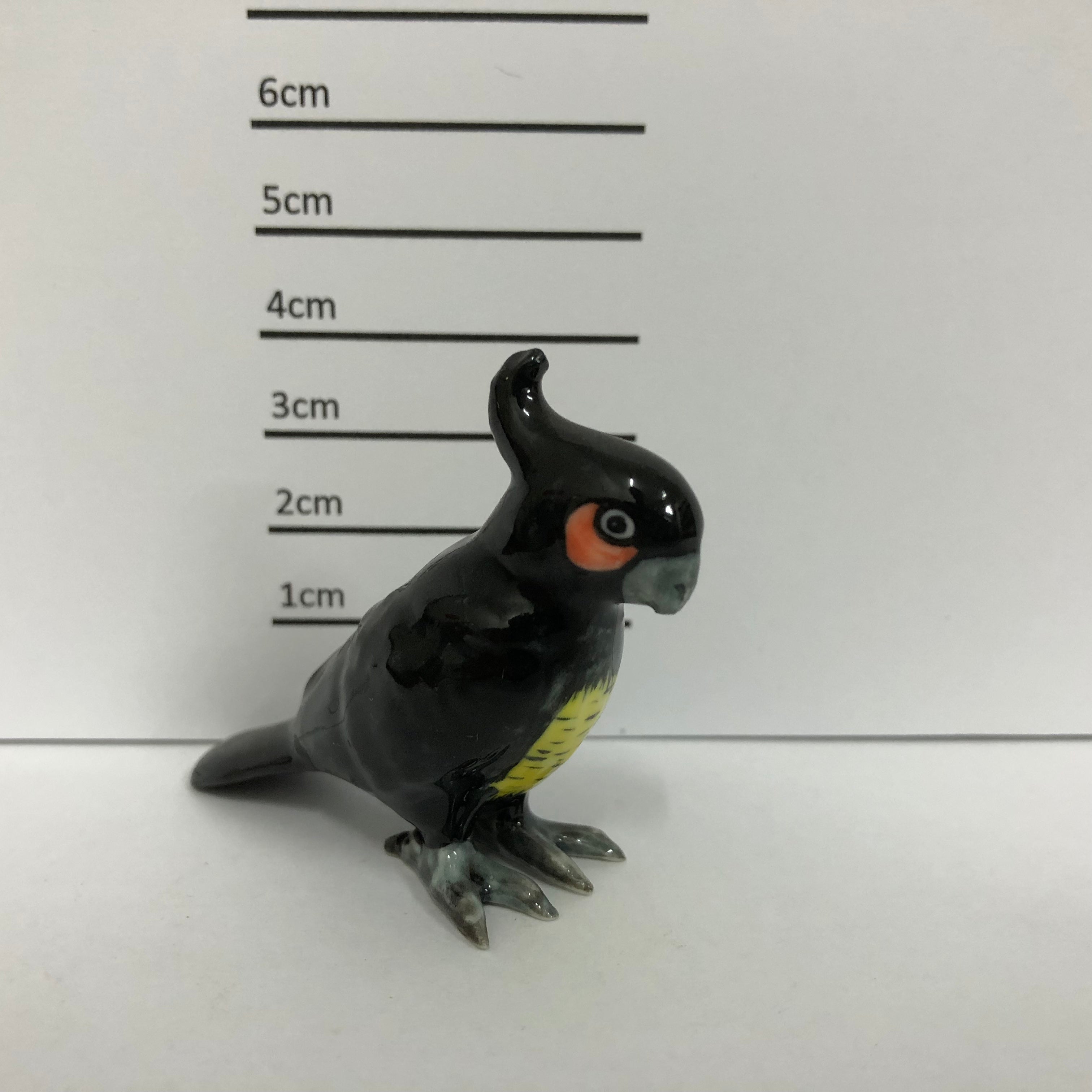 Cockatoo