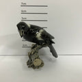 Magpie