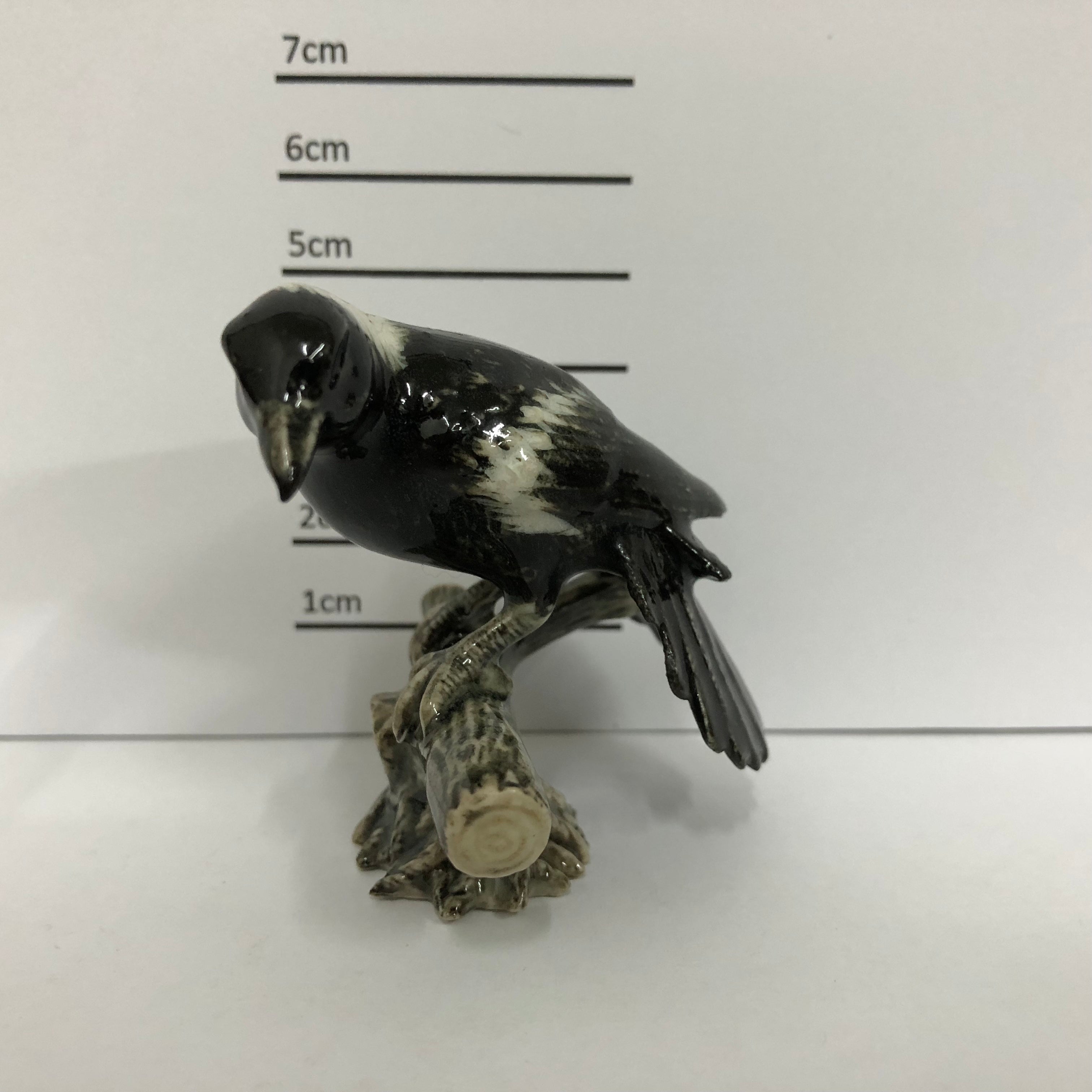 Magpie