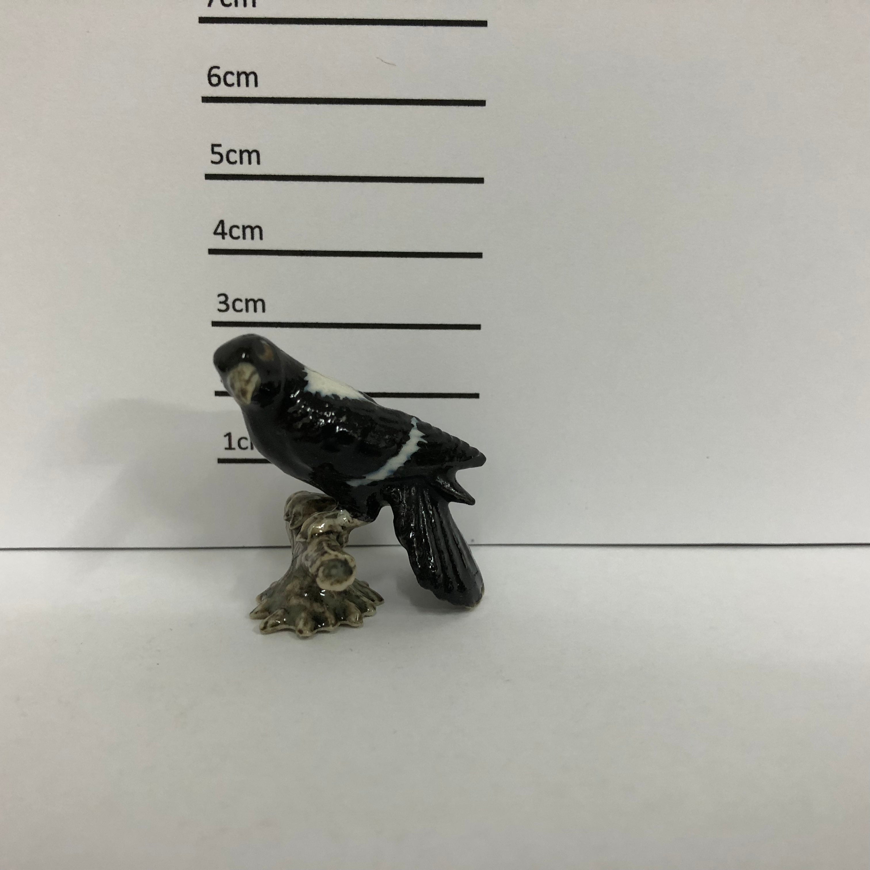 Magpie
