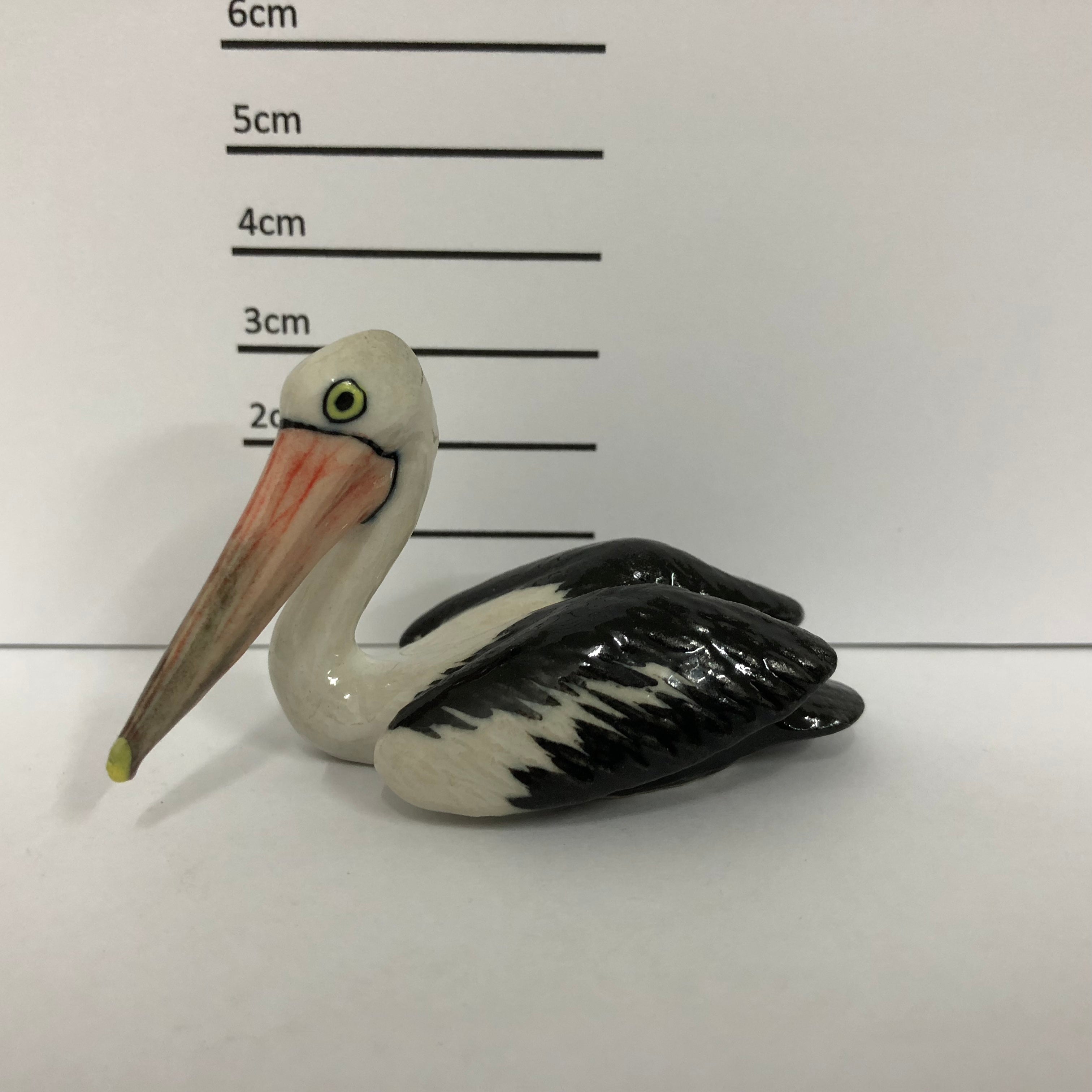 Pelican