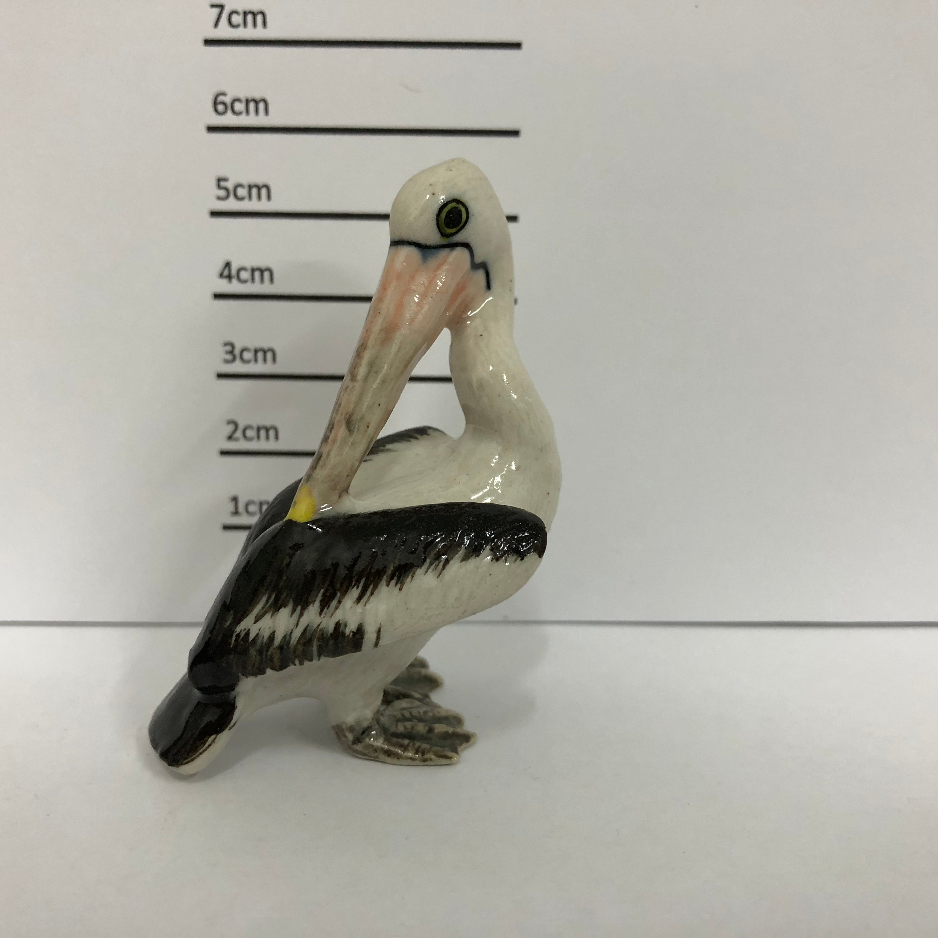 Pelican