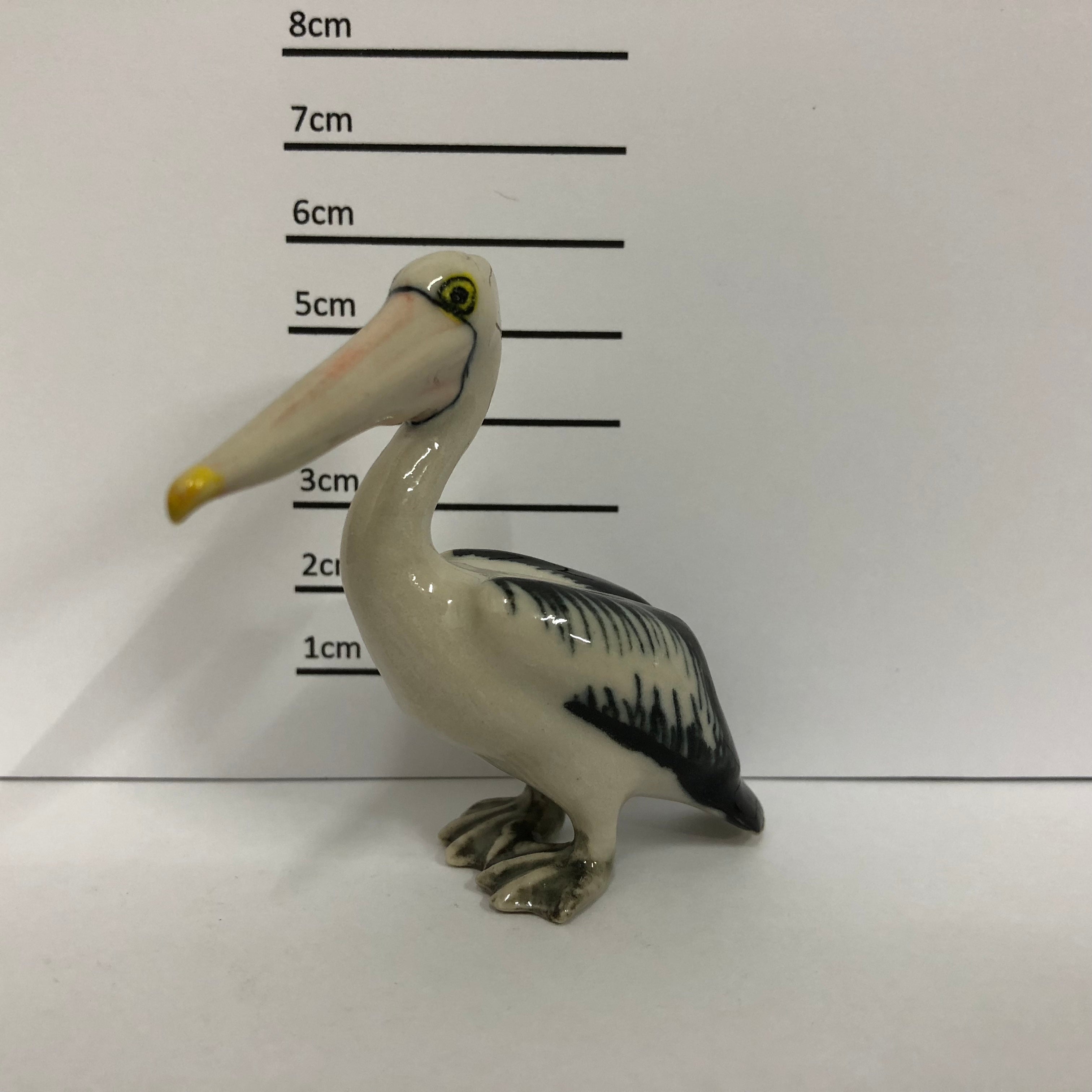 Pelican