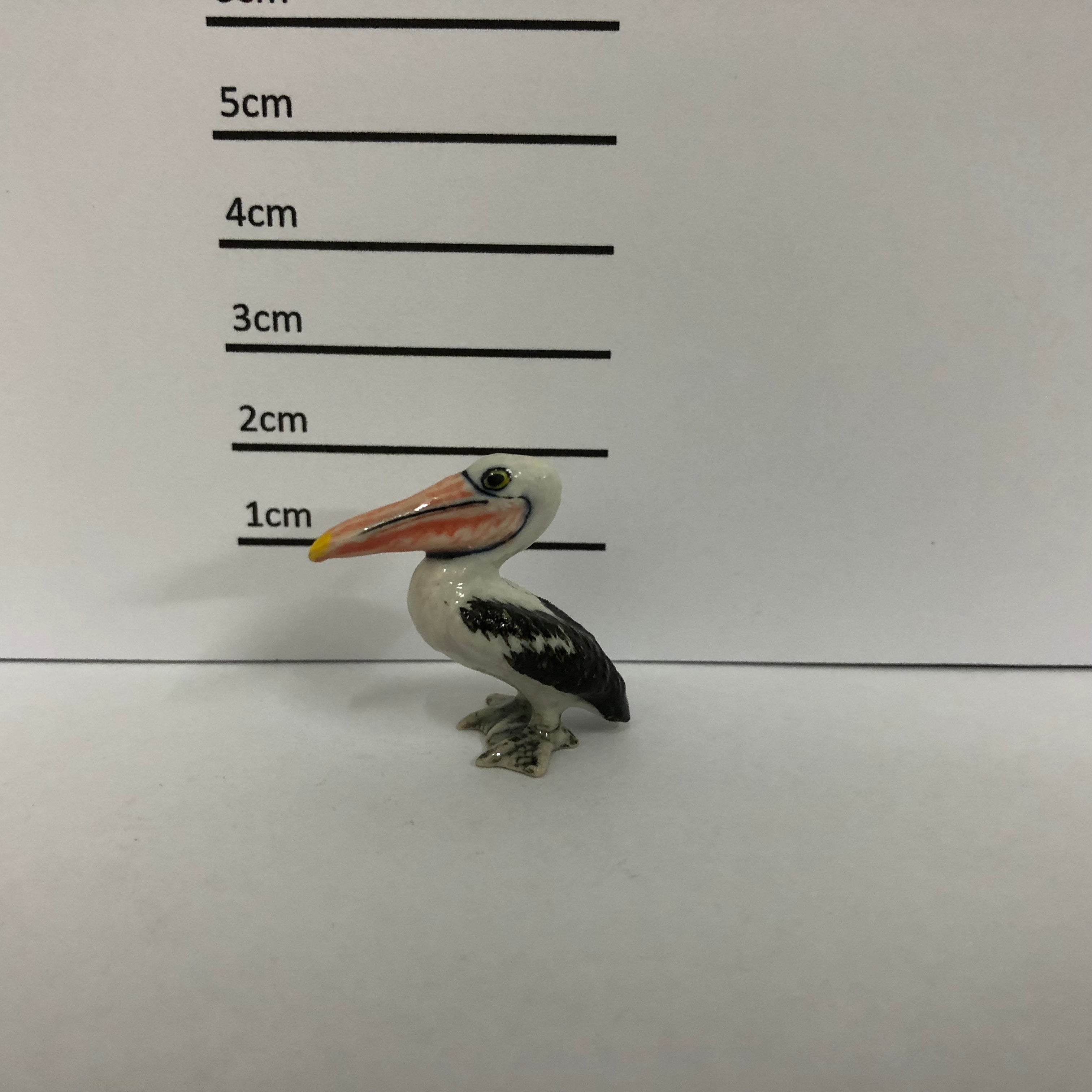 Pelican
