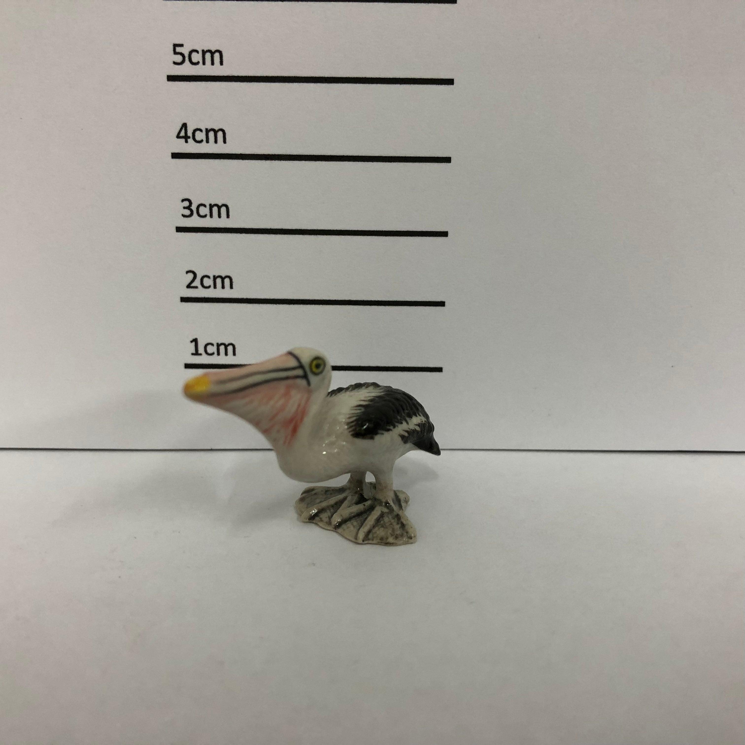 Pelican