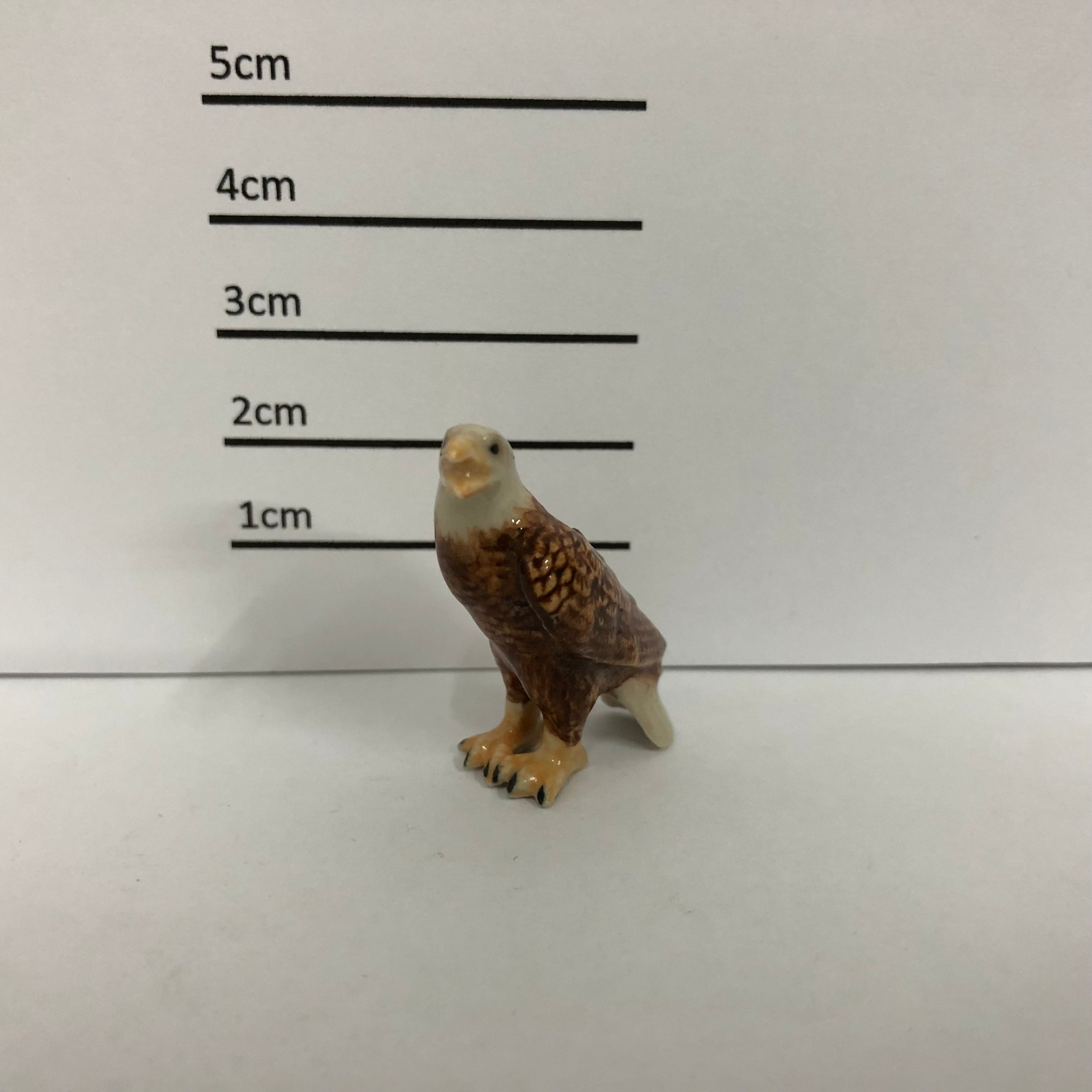 Eagle