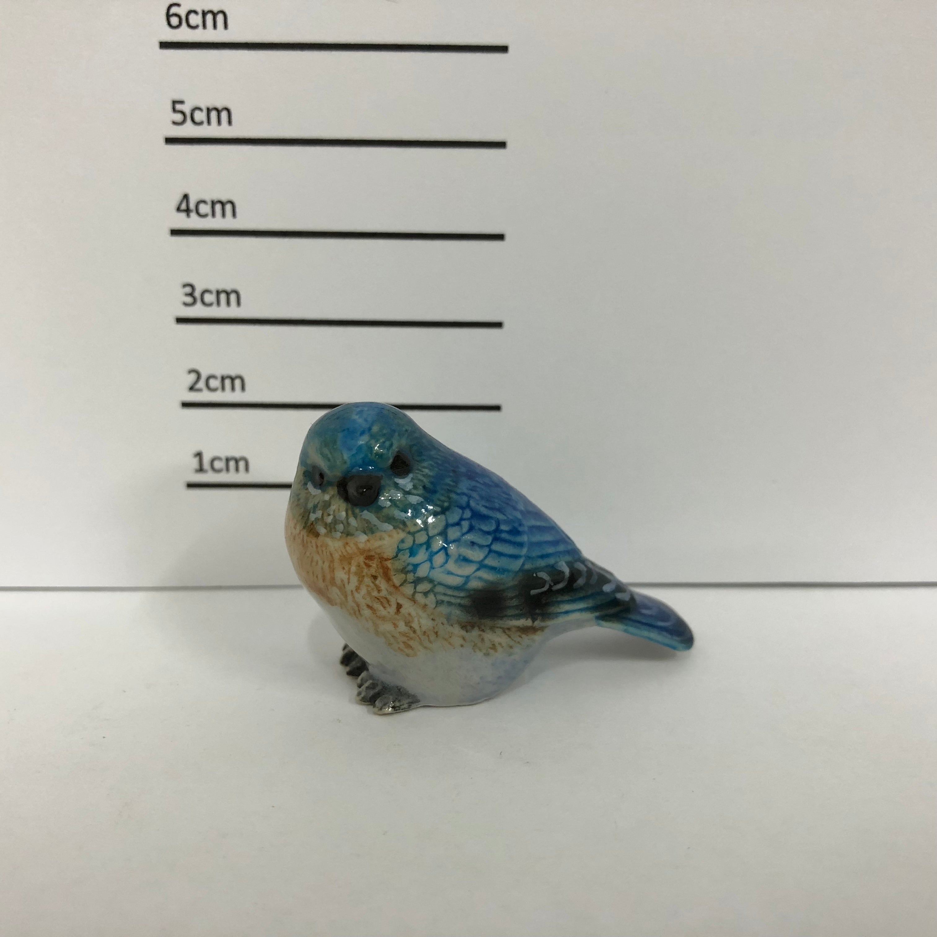 Blue Bird