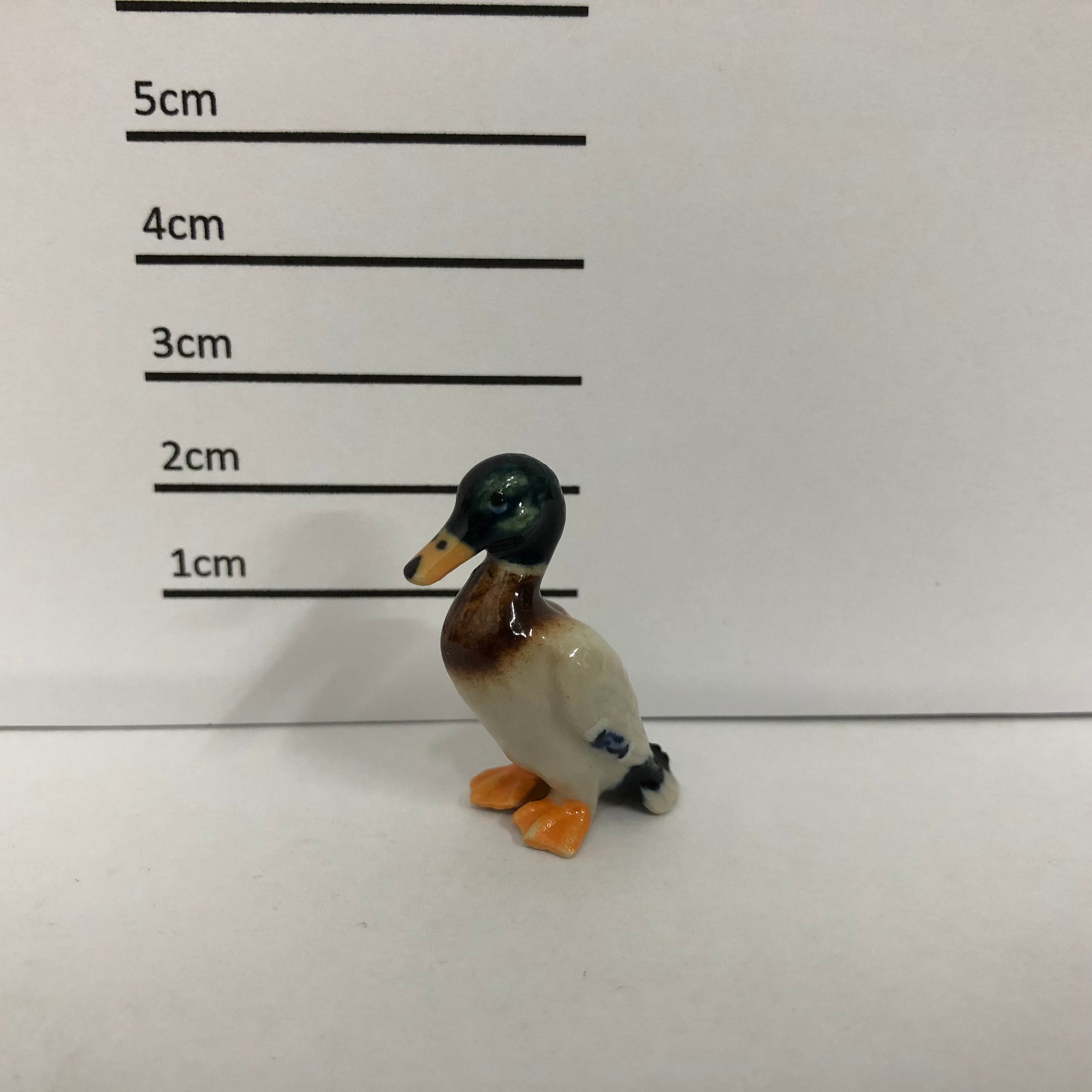 Ducks