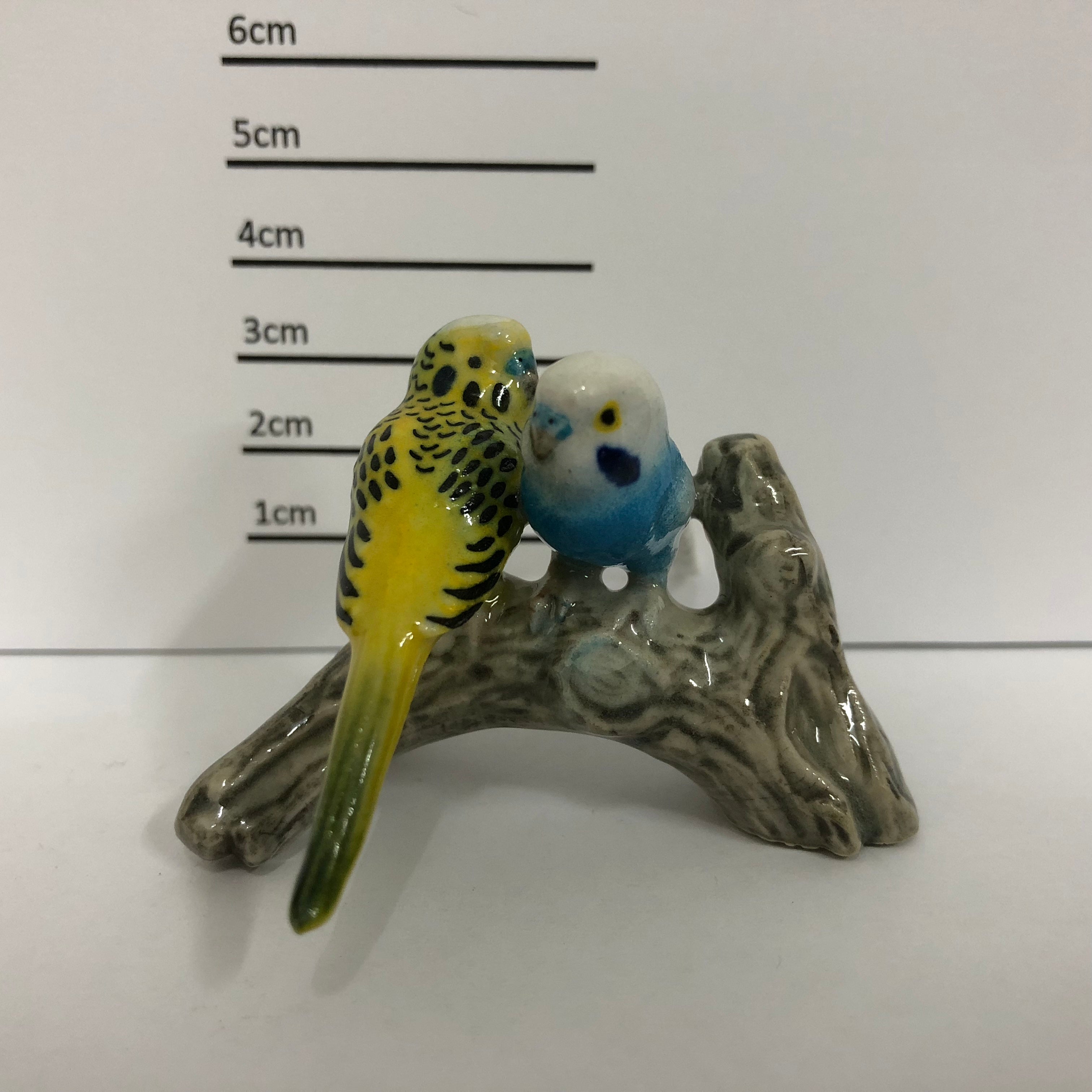Budgies on Branch