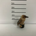Kookaburra
