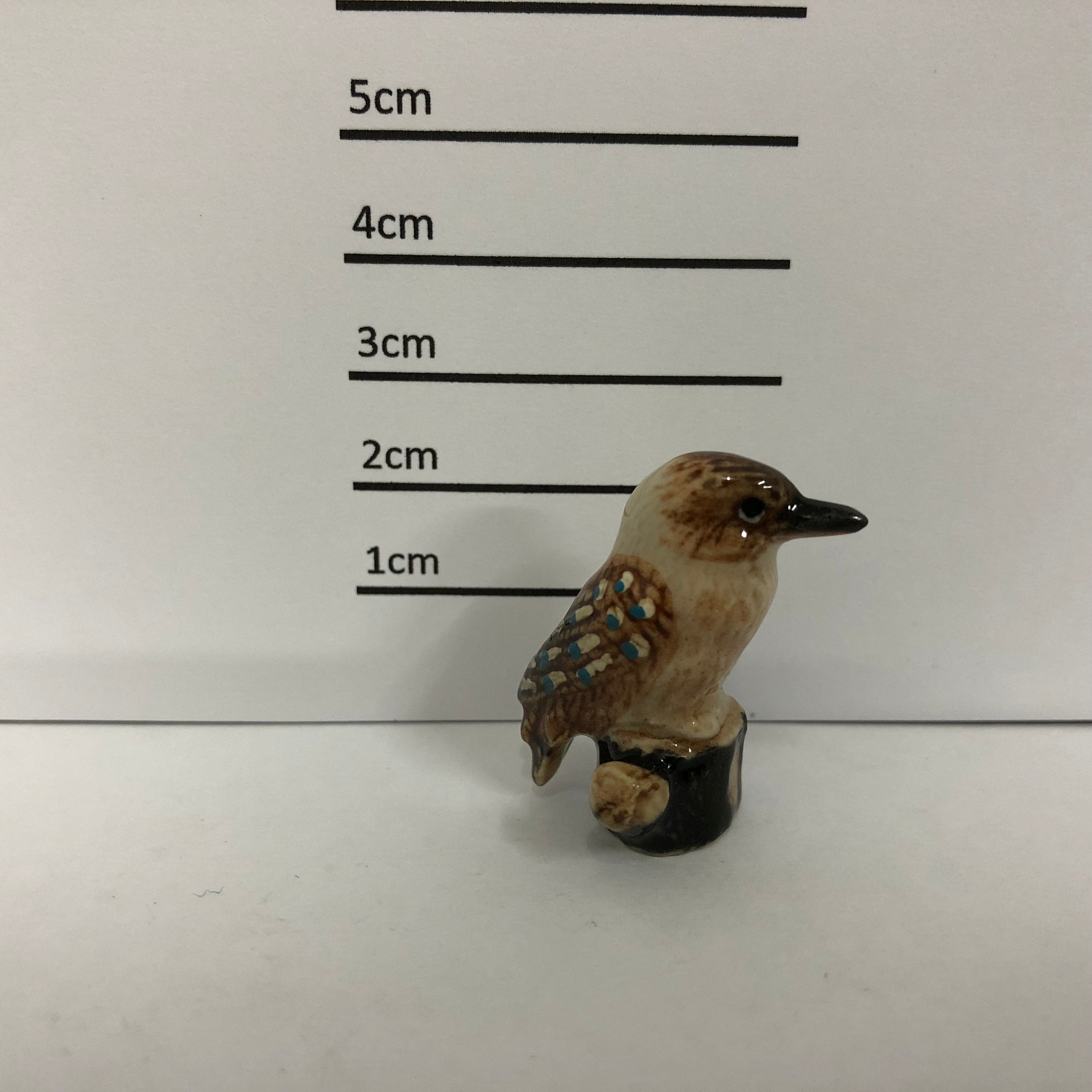 Kookaburra