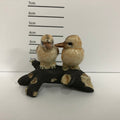 Kookaburra
