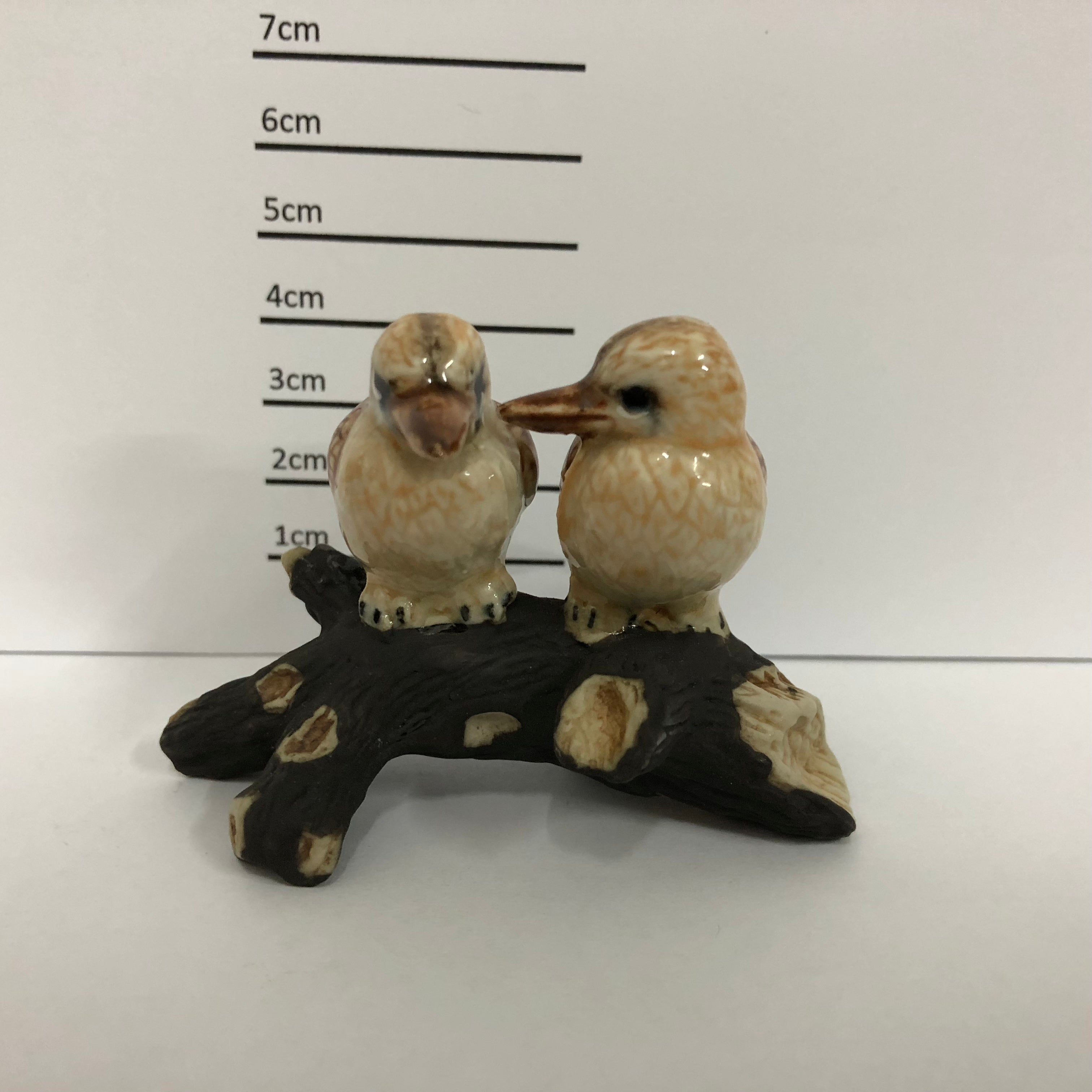 Kookaburra