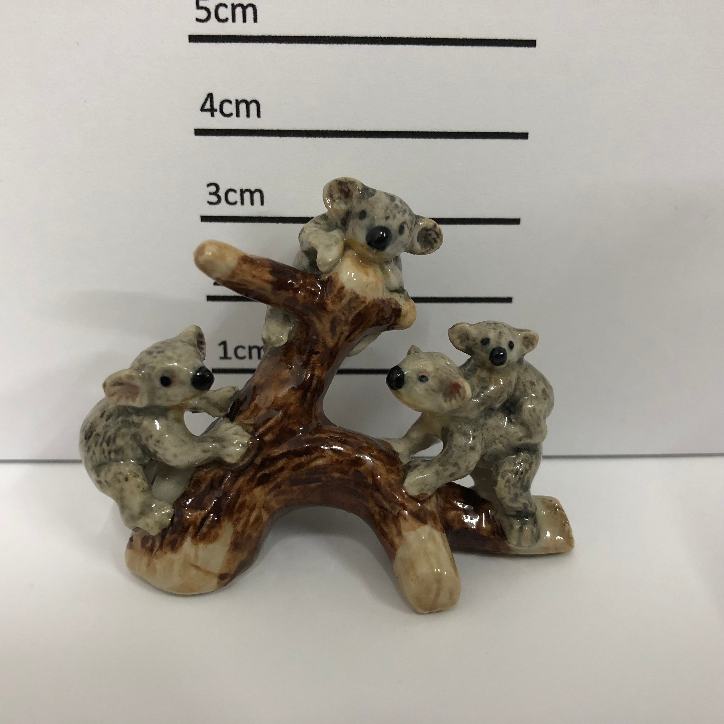Koala's On tree