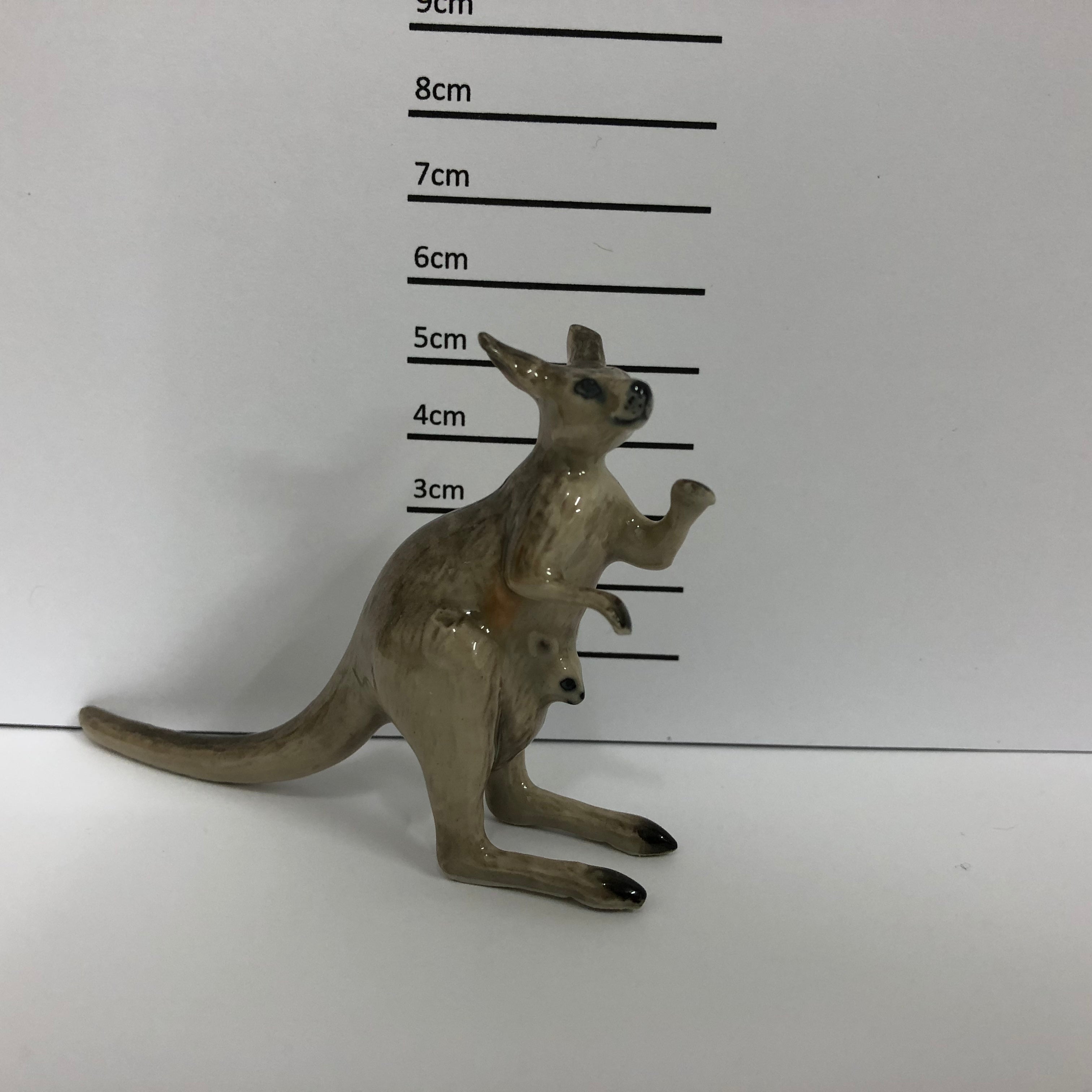 Kangaroo