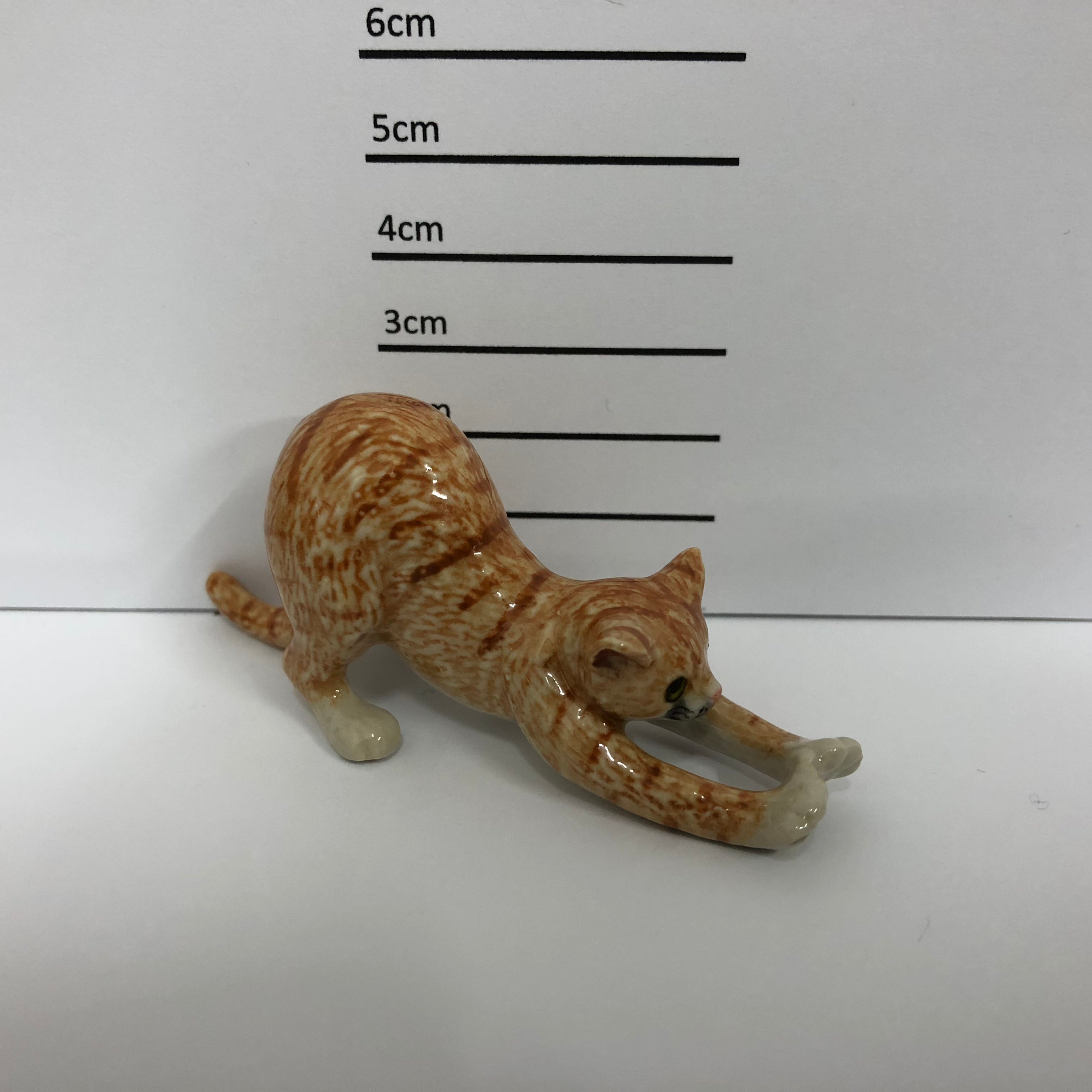 Cat Streching