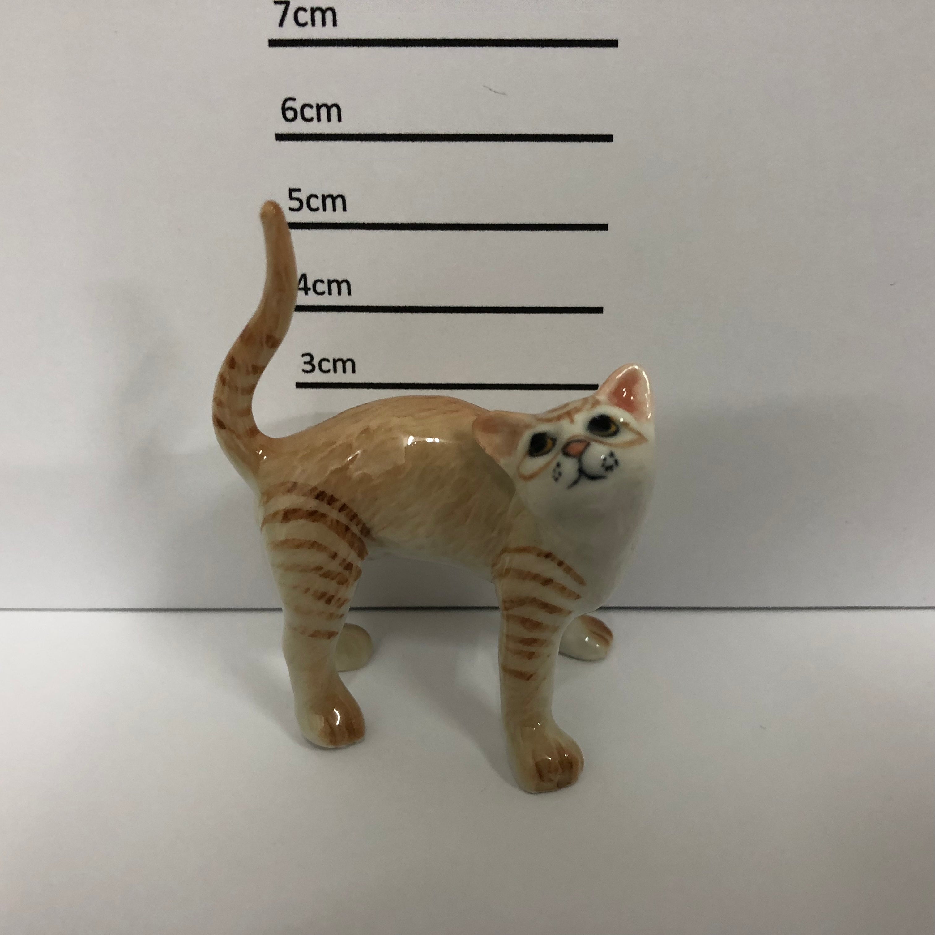 Cat Standing