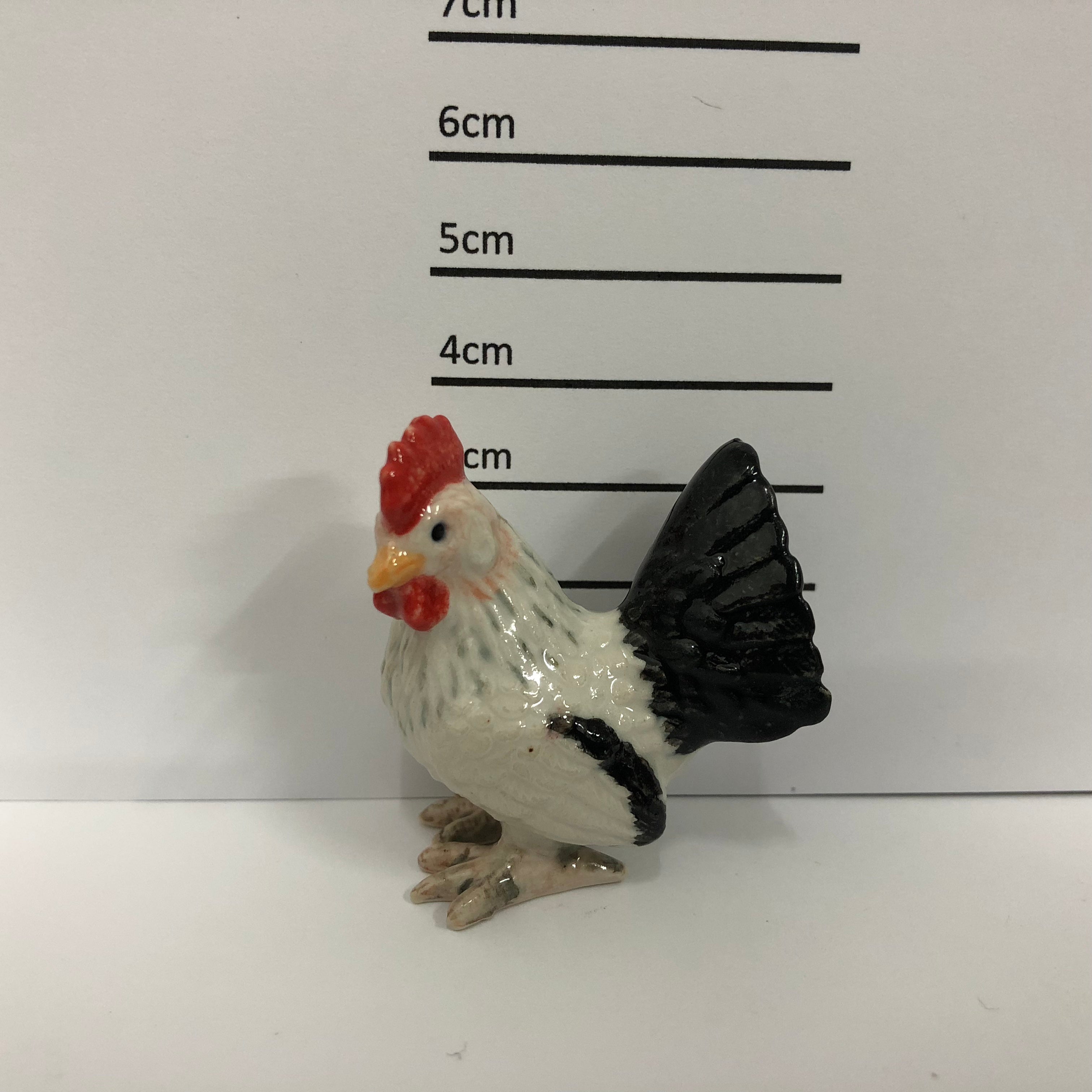 Rooster