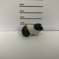 Guinea Pig